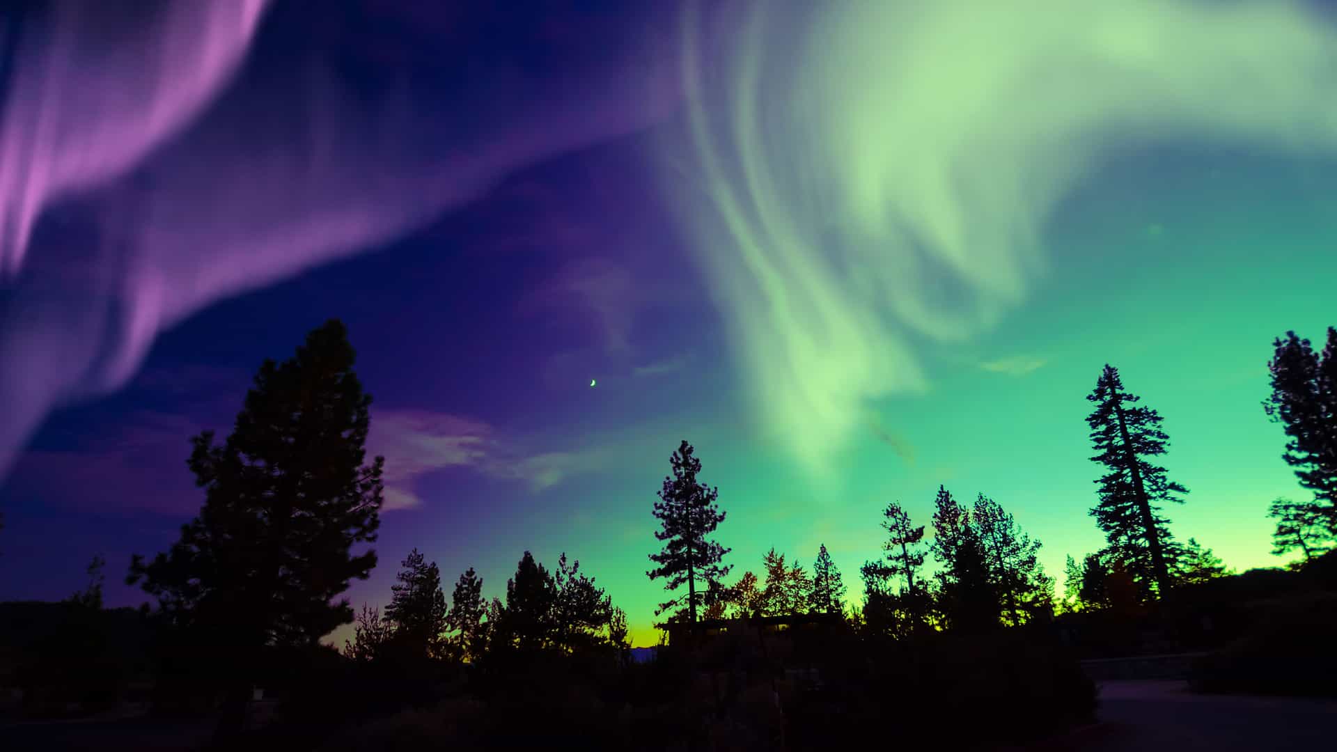 The spectacular Northern Lights, or Aurora Borealis, light up the night sky over a silhouette of trees in Alaska. The sky is a dramatic blend of vibrant purple, blue, and glowing green, with swirling ribbons of light visible. The dark outlines of pine trees and a crescent moon in the sky add to the serene scene, highlighting a beautiful and classic natural phenomenon of the Alaskan region.