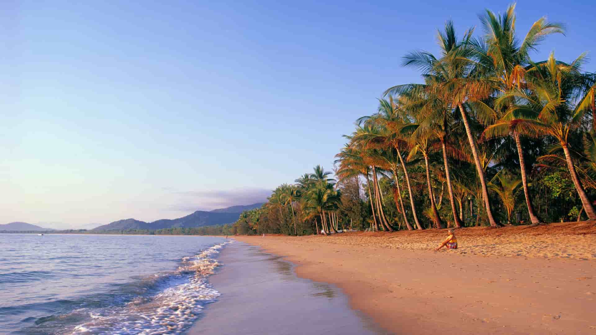 Palm-lined beach in Cairns, Australia.