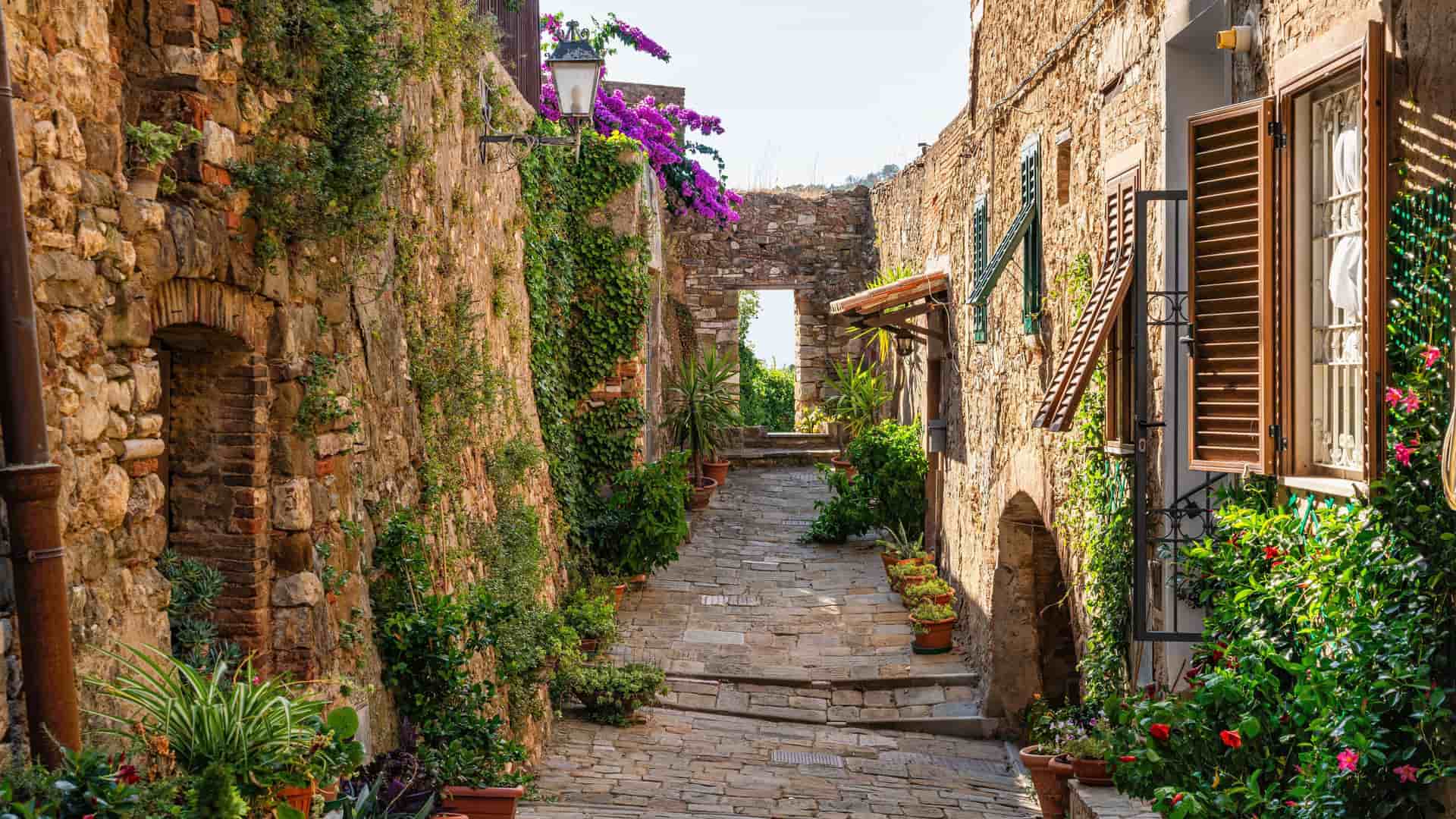 A beautiful image of a narrow, stone-paved street in a medieval Italian village near Livorno, adorned with ivy-covered walls, potted plants, and colorful flowers, giving a feeling of tranquility.