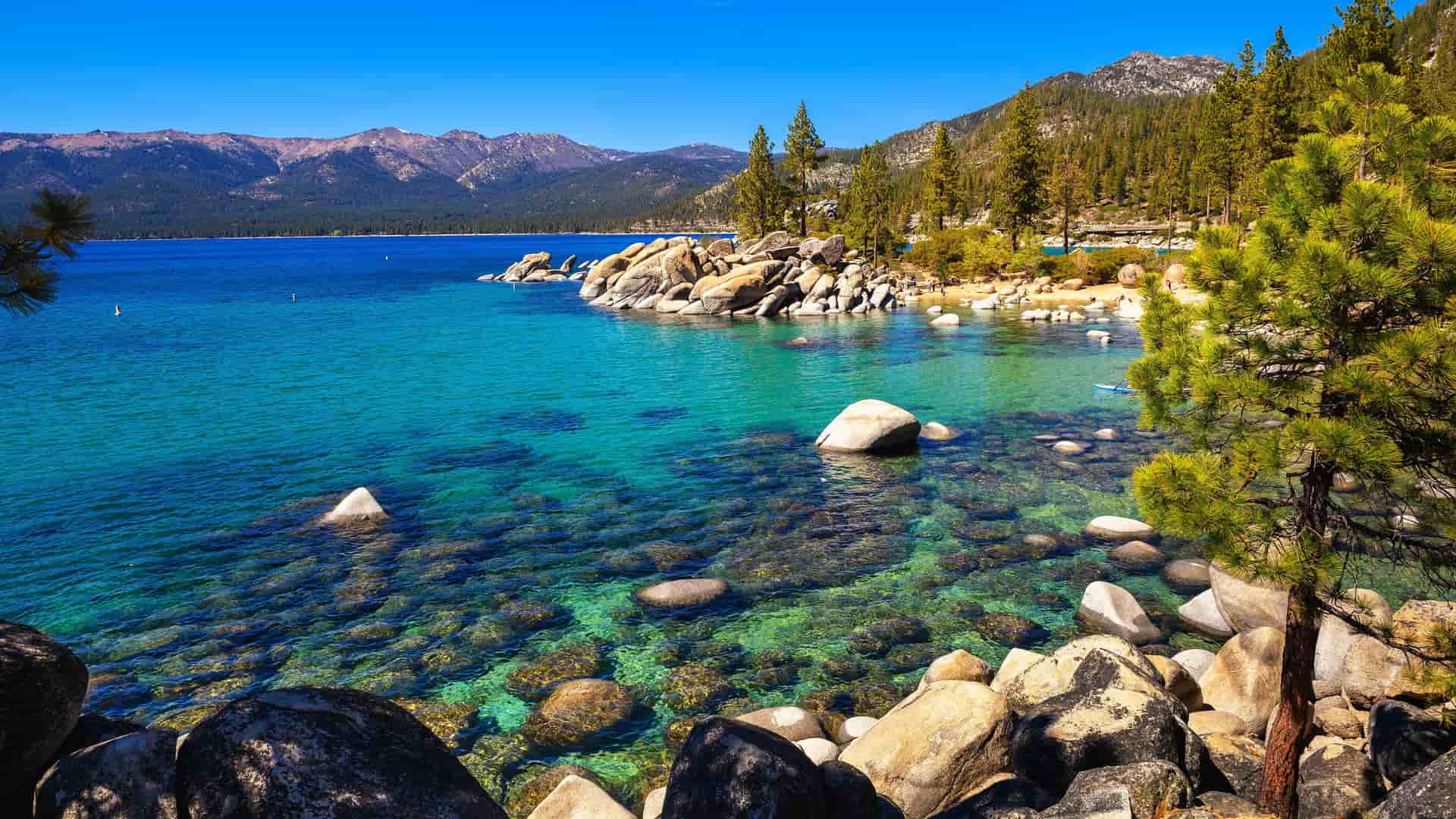 "A picturesque daytime shot of the crystal-clear turquoise water of Lake Tahoe in Nevada, showing large boulders and rocks scattered in the lake and along the shoreline with pine forests in the background.  "