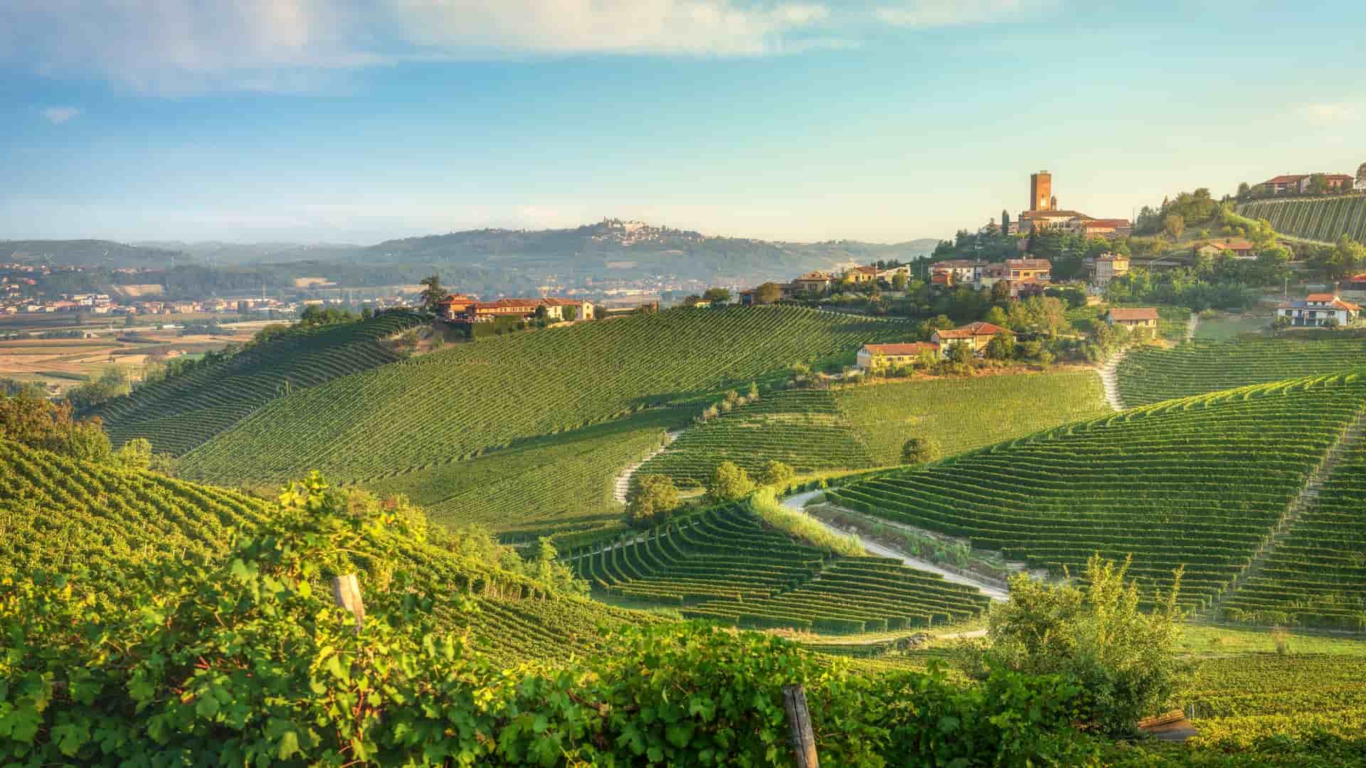 A panoramic view of the Langhe region, Piedmont, Italy, featuring steeply sloping hills covered in terraced vineyards that curve and roll. A small village with traditional red-roofed buildings and a prominent bell tower sits atop one of the hills under a bright, late-afternoon sky.