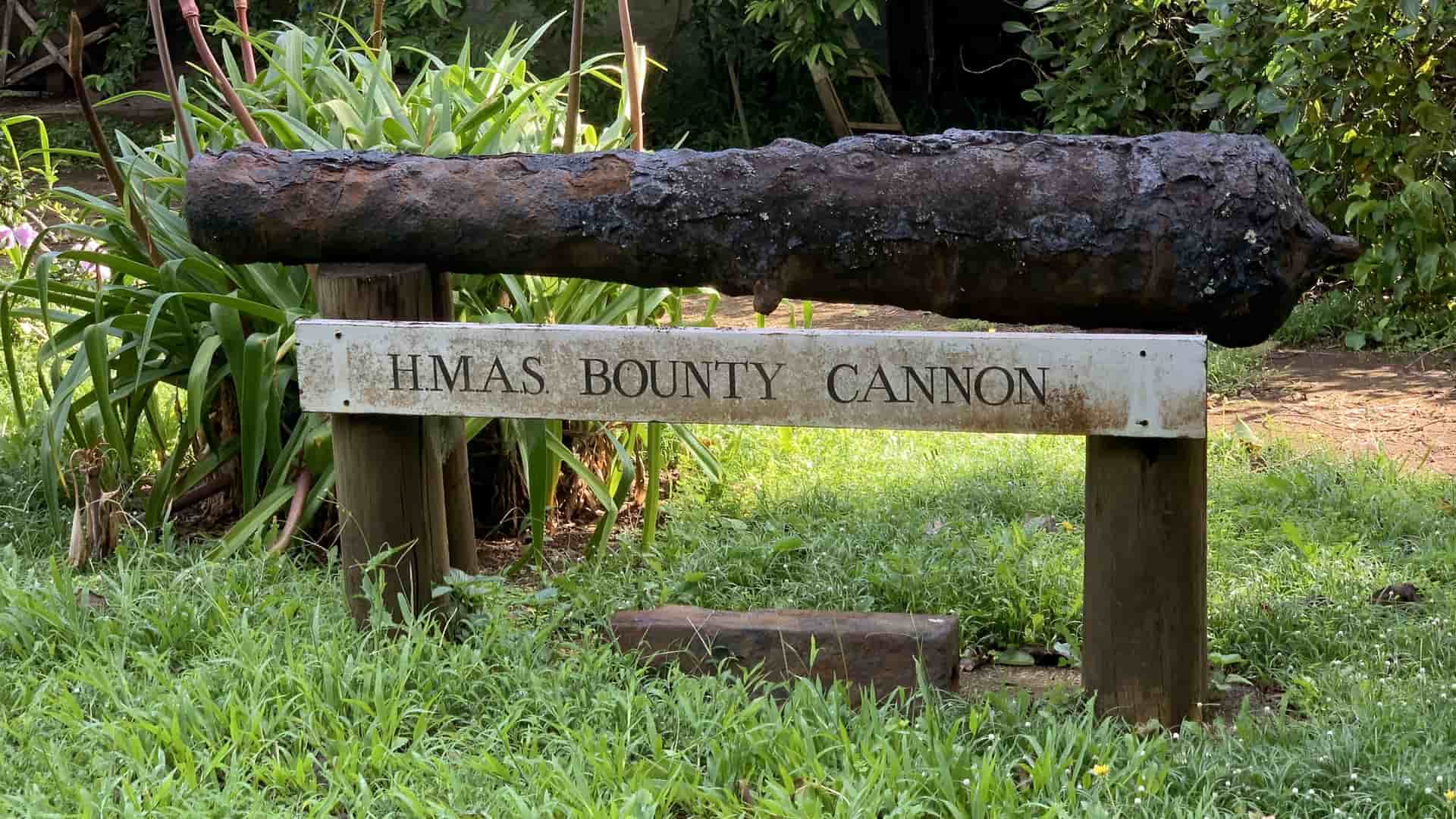 A photo of a historical, rusty cannon, labeled "HMAS BOUNTY CANNON," displayed on a wooden stand in a grassy, outdoor setting.