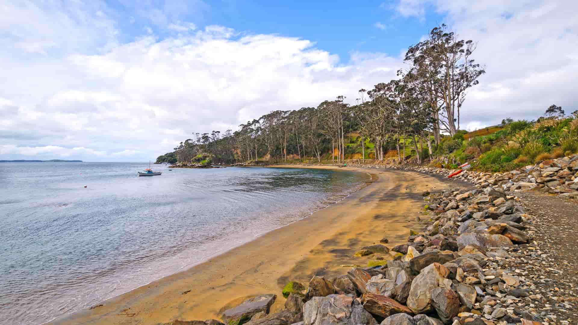 A picturesque view of Halfmoon Bay on Stewart Island, New Zealand, with a sandy beach, calm water, and a tree-covered shoreline under a bright cloudy sky.