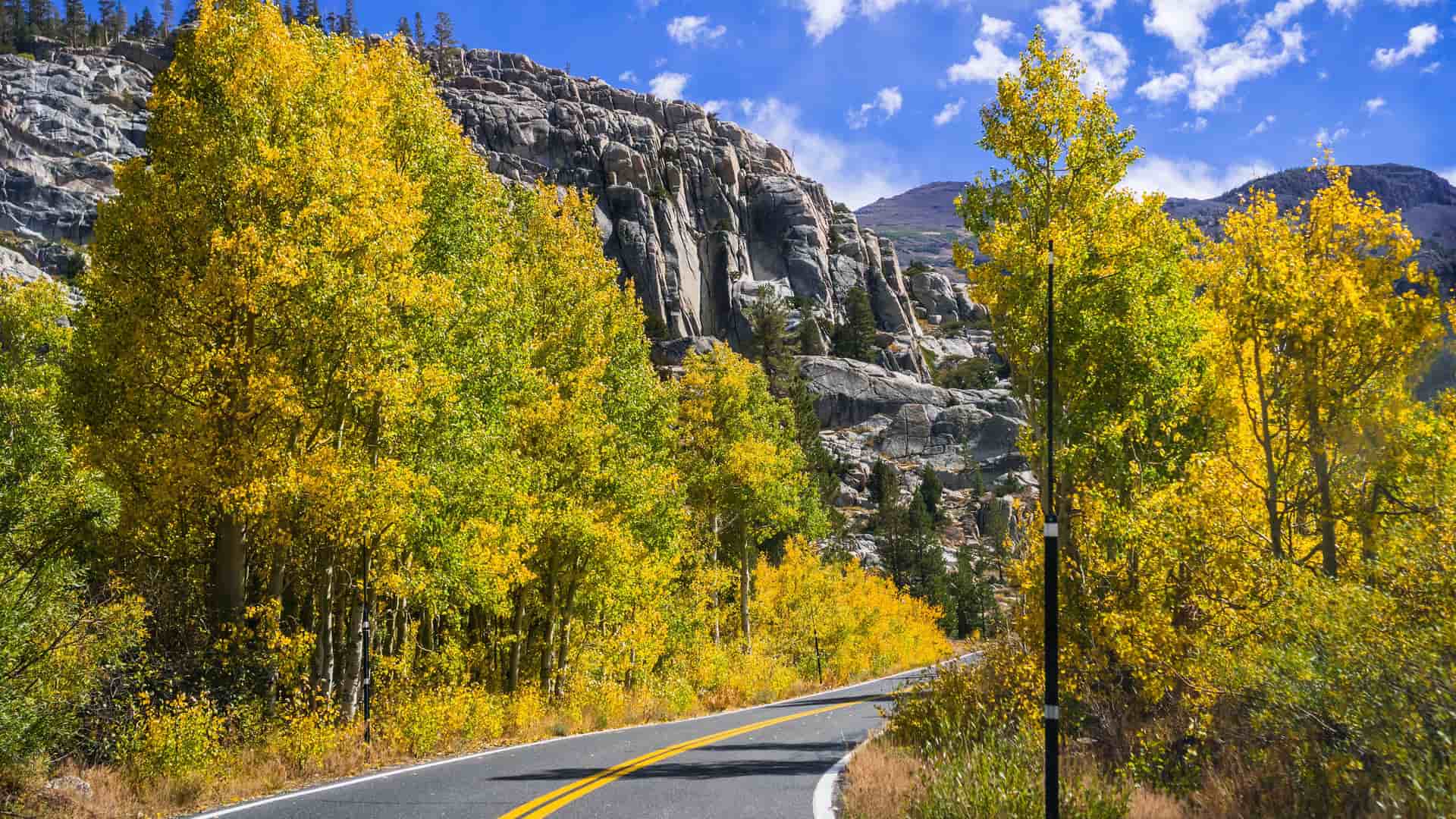 "A picturesque autumn scene on Sonora Pass in California, with a scenic road flanked by vibrant yellow aspen trees and rocky mountains in the Sierra Nevada.  "