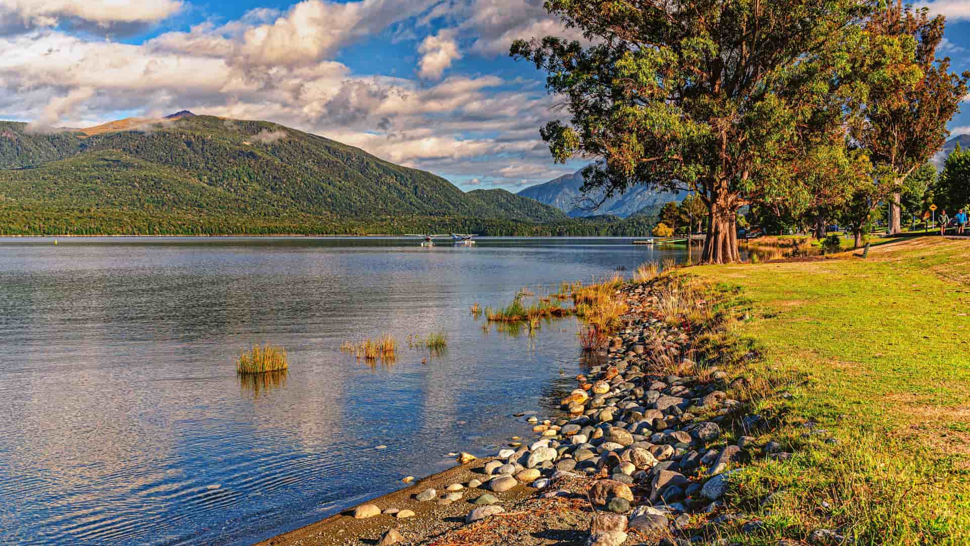 "A serene landscape of Lake Te Anau in New Zealand, with a rocky shoreline and lush green fields leading to a calm body of water, with forested mountains under a cloudy sky in the distance.  "