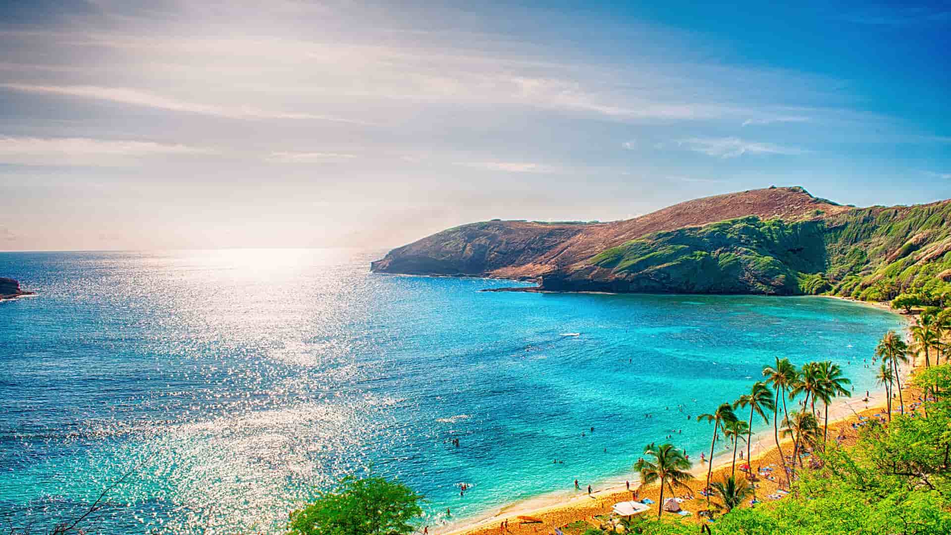 "A scenic view of a beautiful turquoise bay with palm trees on the beach, surrounded by lush green hills, with the sun's reflection sparkling on the calm water of the Hawaiian coast.  "