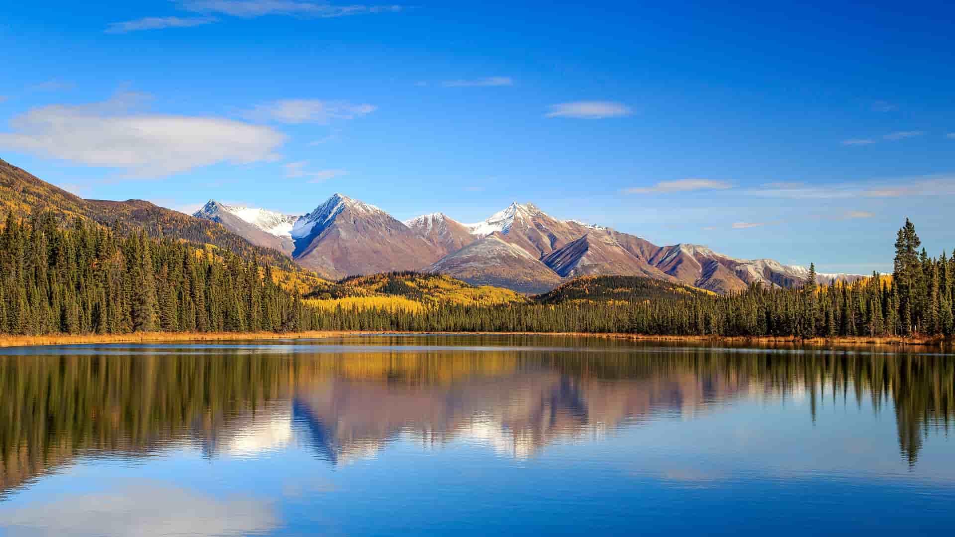 A scenic view of the snow-capped mountains and autumn-colored forests in Wrangell-St. Elias National Park, with a tranquil lake reflecting the beautiful landscape under a blue sky.