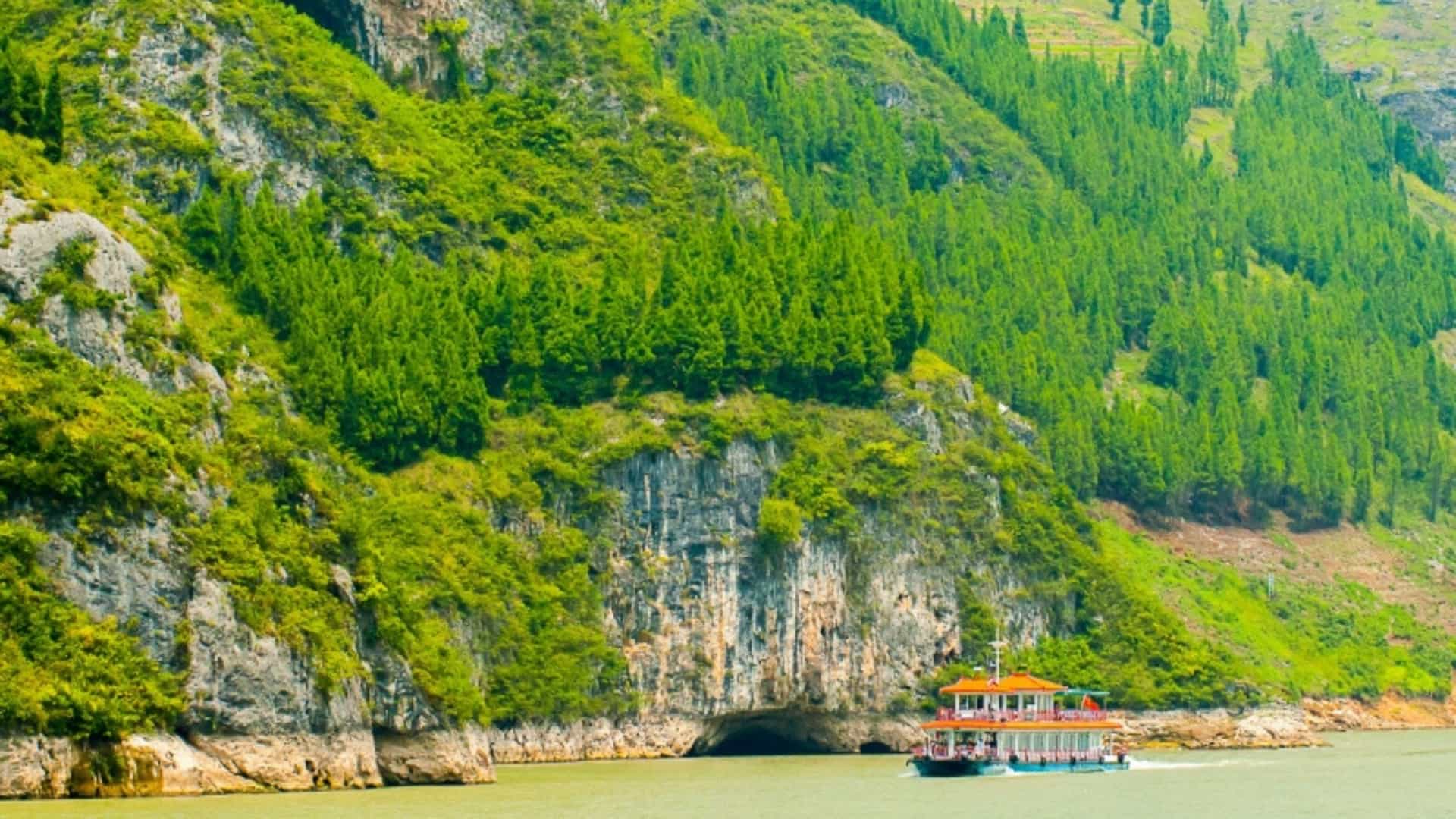 A large, multi-story tour boat navigates the Yangtze River through the majestic Three Gorges in China. The river is a murky brown, reflecting the towering, lush green mountains on either side. The mountainsides are a mix of steep rock faces and dense vegetation, including thick forests and scattered trees. The scene captures the dramatic natural beauty and scale of the Asian river region.
