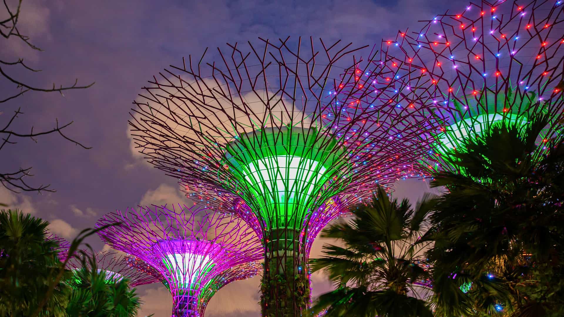 The illuminated Supertree Grove at Gardens by the Bay in Singapore, a potential destination on an Azamara Cruises voyage in Asia.