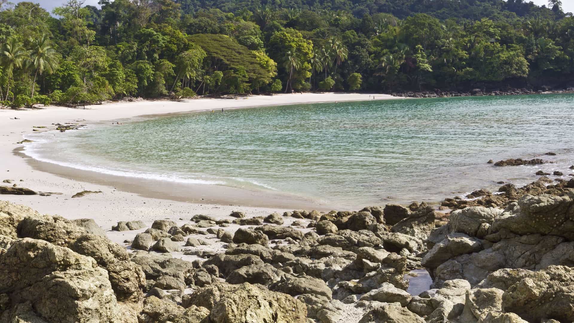 A beautiful panoramic view of Playa Manuel Antonio beach in Costa Rica. The foreground consists of large, sun-drenched rocks and boulders. In the middle ground, a crescent-shaped beach with soft white sand curves around a bay with clear, turquoise water. The background is a dense, lush green tropical rainforest that comes right down to the edge of the sand, highlighting the unique mix of coastal and jungle ecosystems in the Costa Rican region.