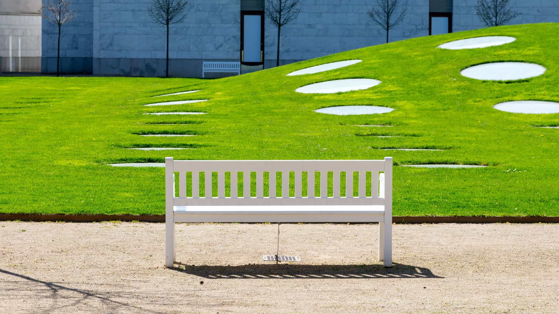 A sunny outdoor view of a classic white park bench with curved wooden slats and metal trim, situated in a peaceful green setting, likely in the Palmengarten in Frankfurt am Main, Germany.
