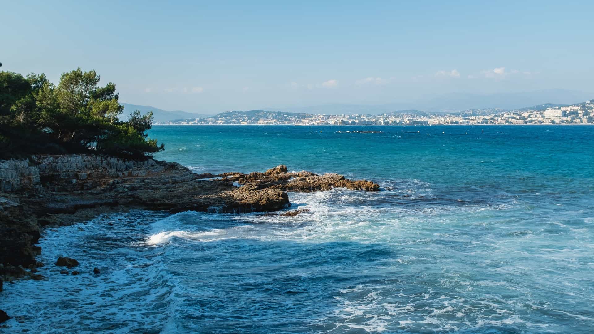 The rugged coastline and clear blue waters surrounding Sainte-Marguerite Island, one of the Lérins Islands located off the coast of Cannes, France. The image features the dense pine and eucalyptus forest that covers the island.
