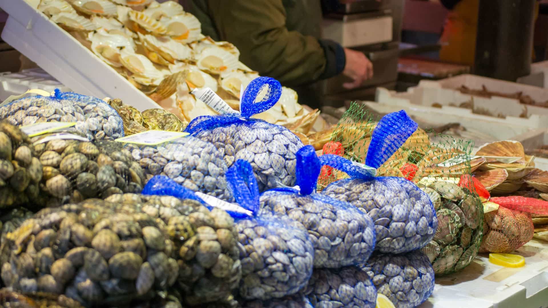  A close up view of a vendor's stall at the authentic local fish market (Pescheria) in Chioggia, Italy, showcasing a large and colorful selection of fresh seafood on ice. The display, which includes various whole fish, shrimp, and other shellfish, highlights the town's renowned maritime and culinary traditions.