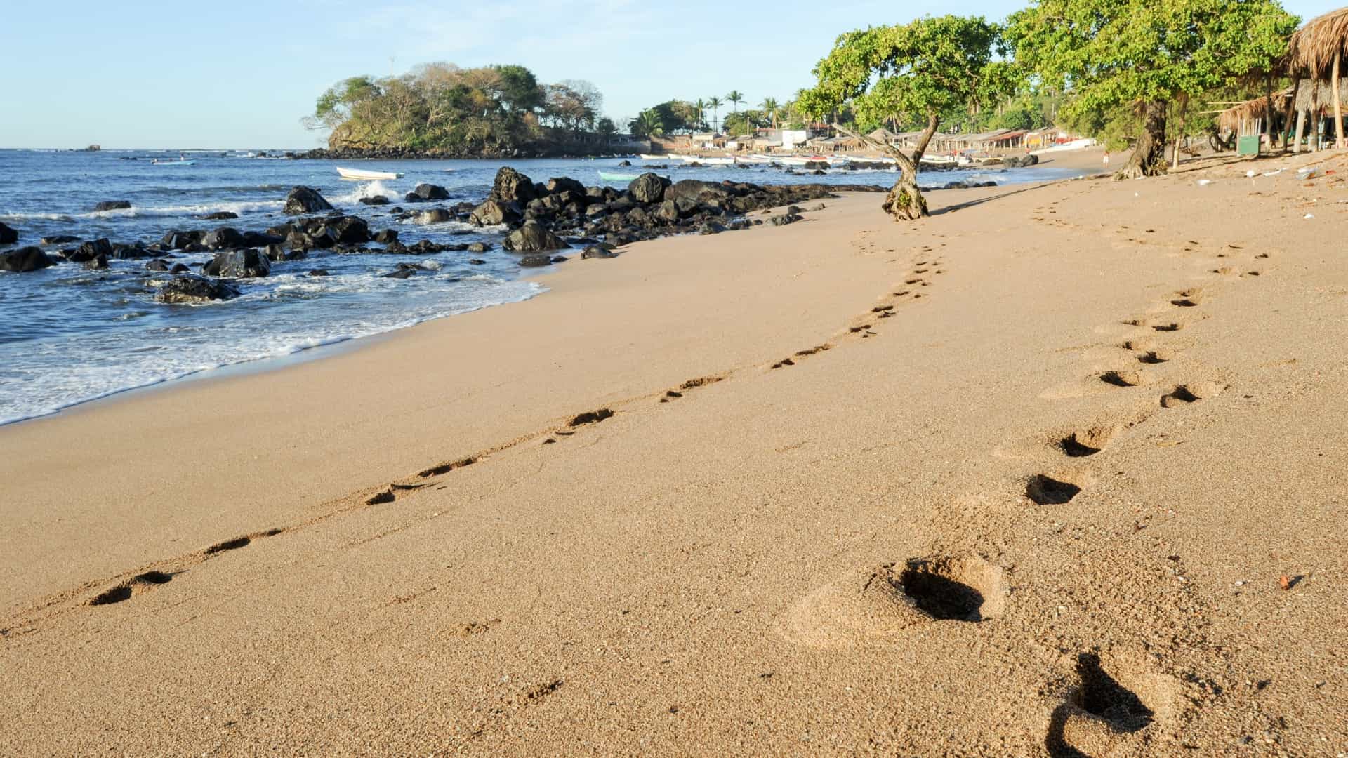 A clear human footprint is impressed into the wet sand of the beach at Los Cobanos, El Salvador, with the gentle waves of the Pacific Ocean washing up in the background.
