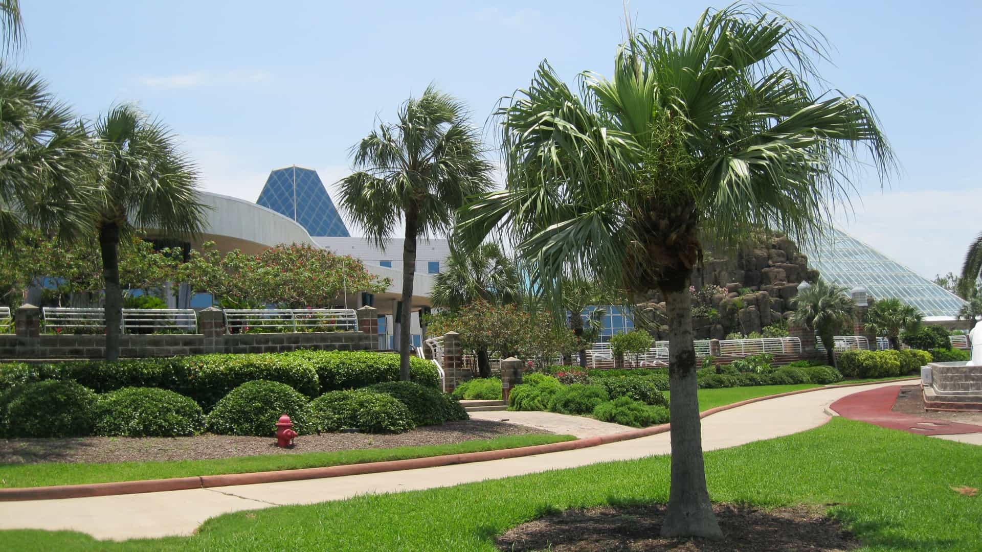 Palm trees, lush landscaping, and walking paths outside the Moody Gardens Pyramids and hotel in Galveston, Texas.