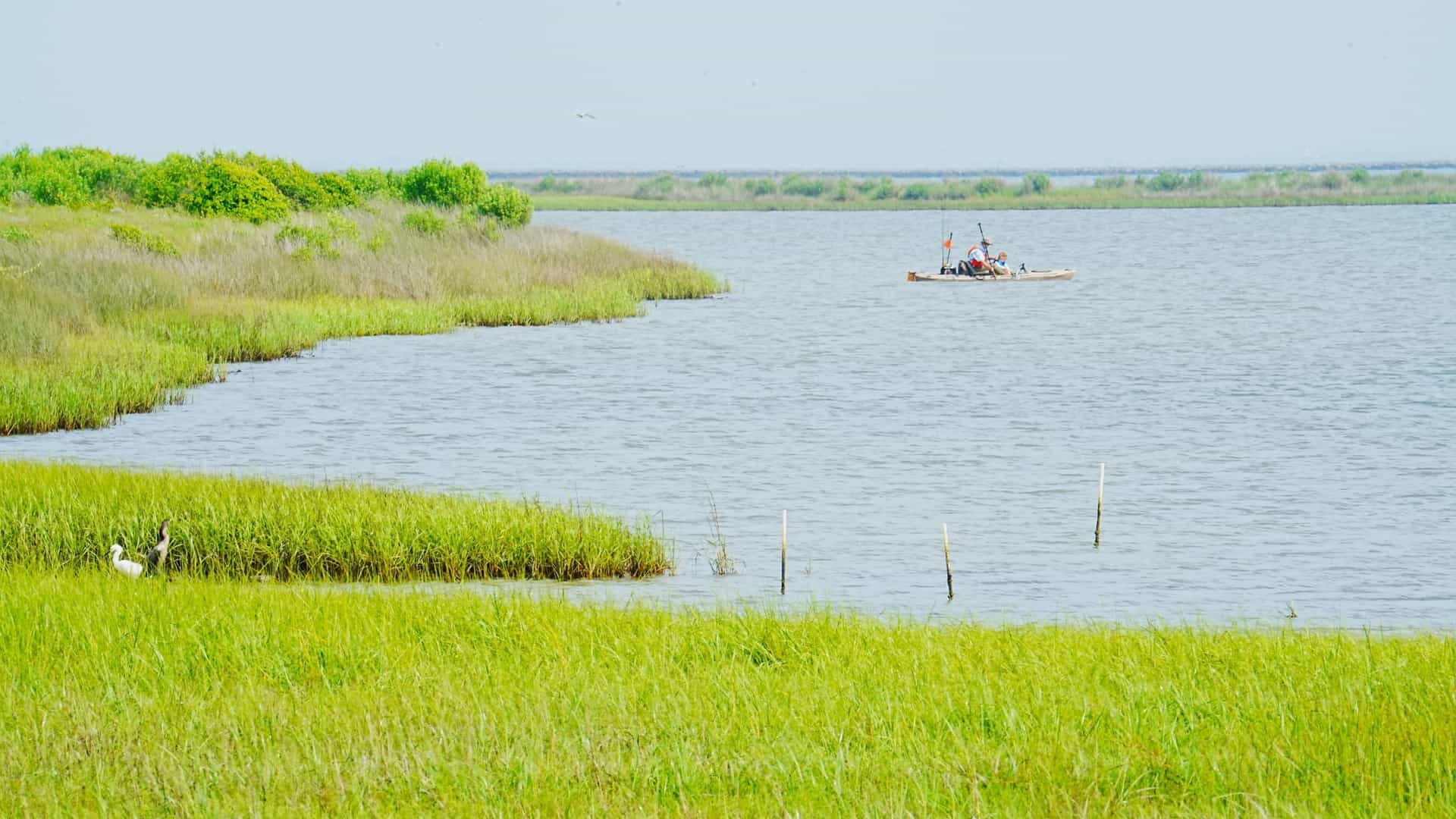 A kayaker is shown from a distance, fishing in the shallow, tranquil, greenish-brown tidal marsh waters of Galveston Island State Park, Texas. The kayaker is surrounded by tall, dense green marsh grass, indicating a rich fauna and wildlife habitat, all under a bright, overcast sky.