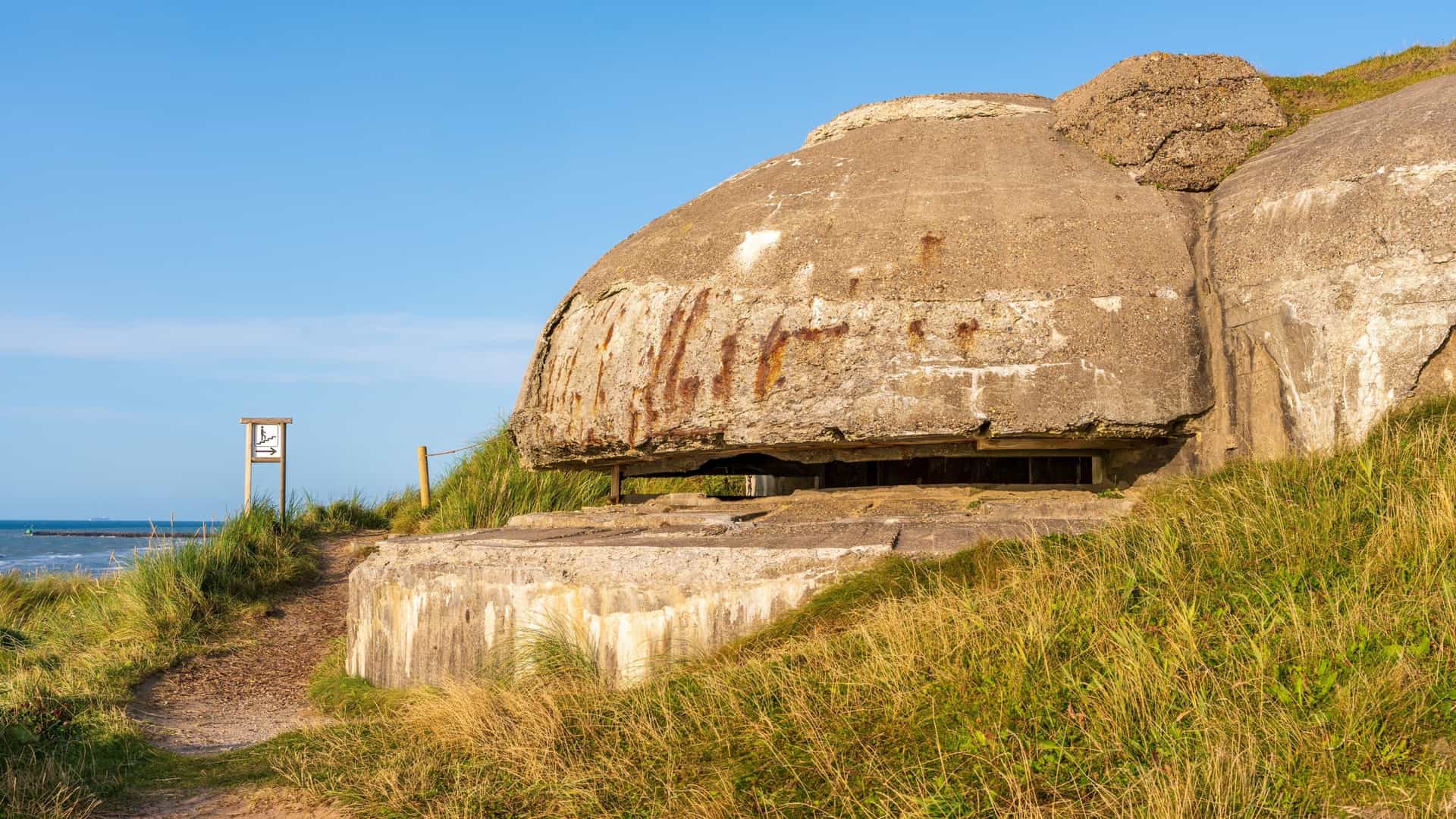 A close-up view of a large, reinforced concrete bunker, characteristic of the German Atlantic Wall fortifications found at the Bunker Museum IJmuiden in the Netherlands. The domed bunker is partially buried in tall, wind-swept green and brown dune grass, with a clear blue sky above and a glimpse of the ocean in the distant left background.