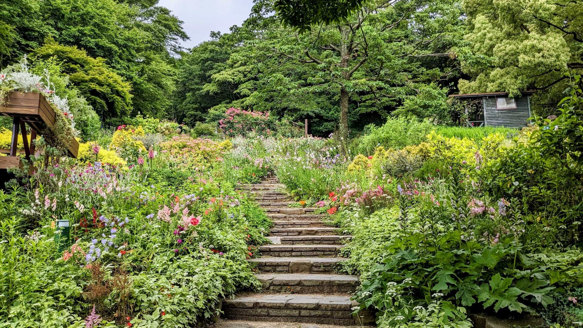 A scenic view of the Nunobiki Herb Gardens in Kobe, Japan, showing a beautifully landscaped path winding through colorful flowerbeds and lush green foliage. The scene captures the tranquility and decorative nature of the botanical garden on the hillside.
