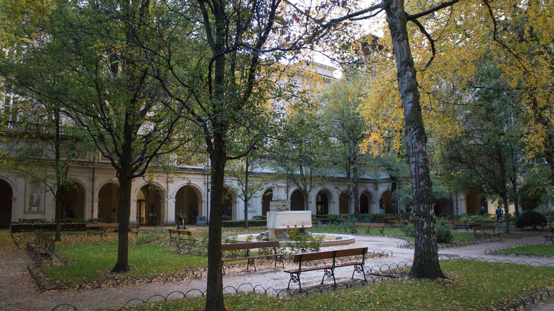 An empty, tranquil view of the garden (formerly a cloister) located in the courtyard of the Musée des Beaux-Arts de Lyon. The garden is surrounded by the museum's historic walls, offering a refuge of calm in the city center. It features leafy trees (such as linden and birch), walking paths, and a central fountain (though the fountain may not be the main focus of this specific angle). The garden is a popular feature of the museum, which is housed in a former 17th-century Benedictine abbey called the Palais Saint-Pierre.