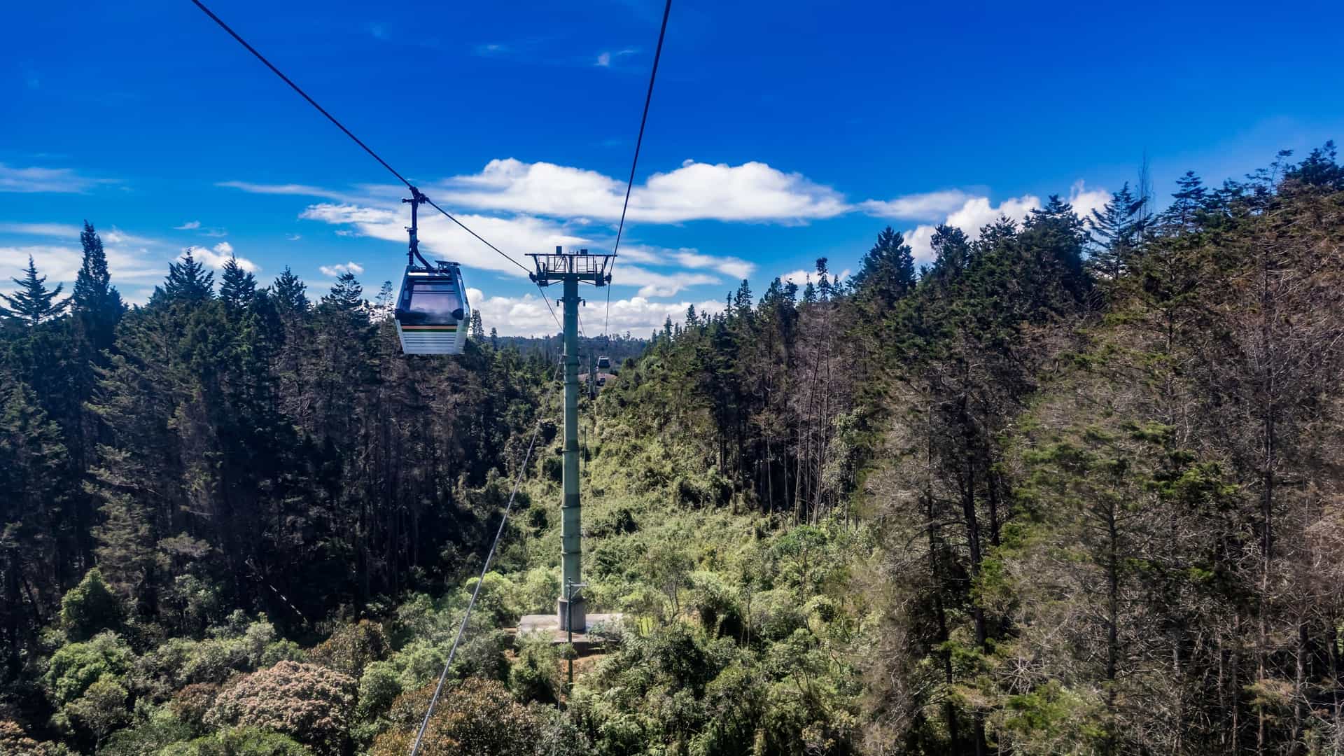 A cable car gondola from the Metrocable system in Medellín, Colombia glides high above a lush, dense forest of tall green trees. The scene is set against a vibrant, clear blue sky, showcasing the scenic, natural landscape of Parque Arví (Line L).