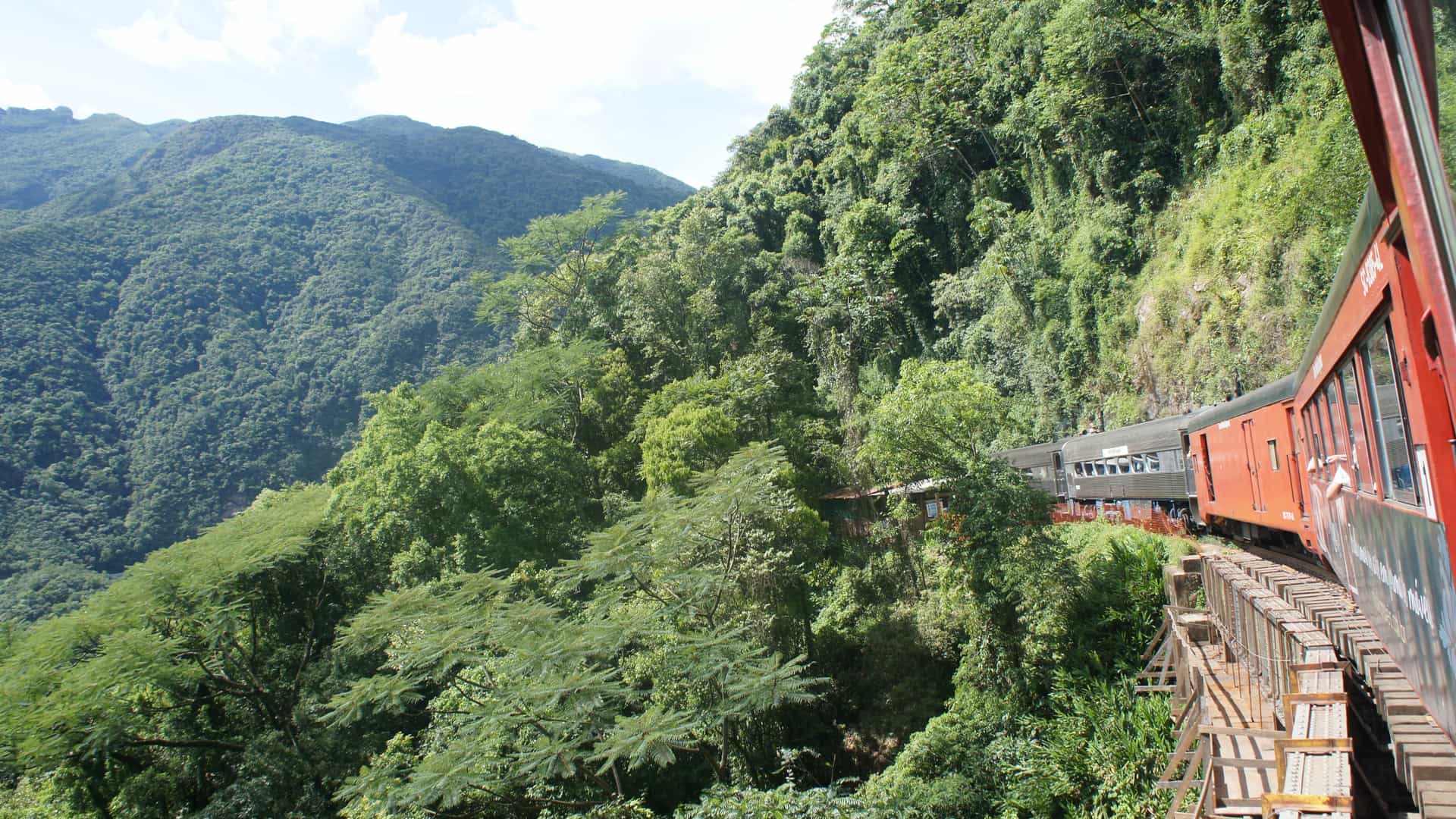 A scenic view of the Serra Verde Express train (red and dark cars) navigating a sharp curve on a wooden trestle track built into the steep side of a mountain, surrounded by the dense, vibrant green foliage of the Atlantic Rainforest (Serra do Mar, Brazil).