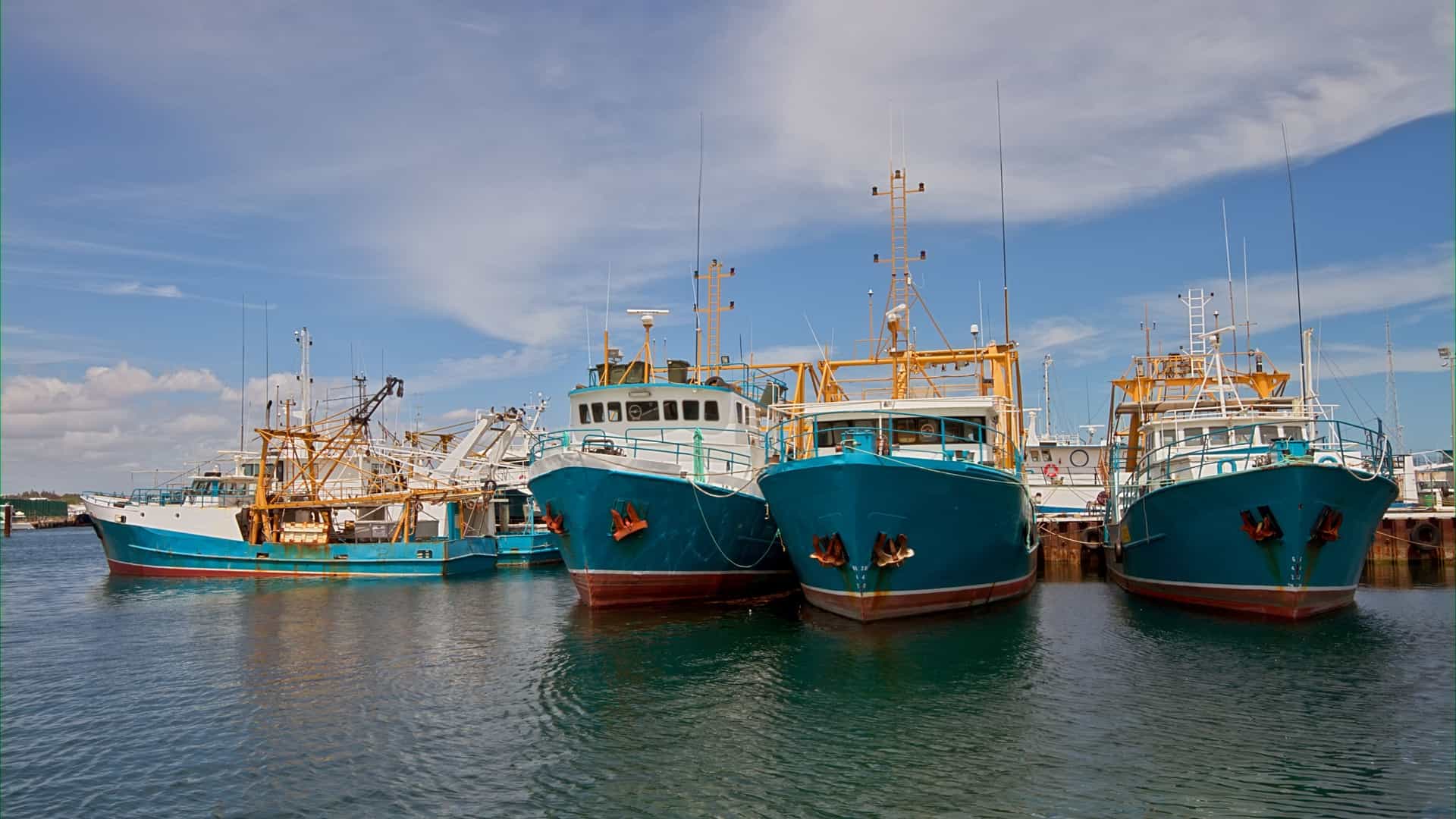 A bright, sunny view of several colorful commercial fishing boats and trawlers docked side-by-side in Fremantle Harbour, with their fishing equipment visible. The harbor water is calm, and a variety of low-lying industrial buildings and sheds line the background under a blue sky.