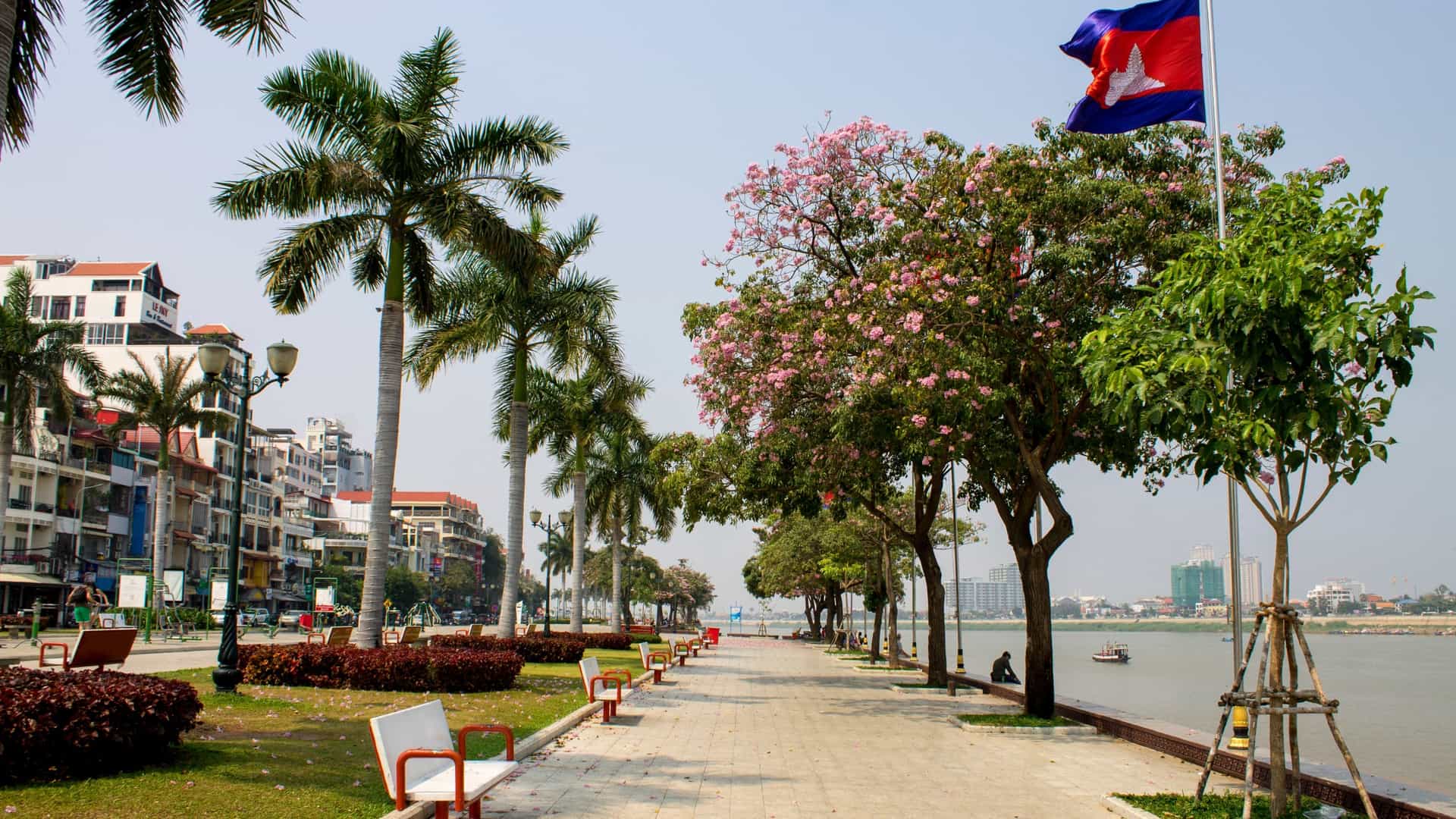 A scenic wide-angle view of the Riverside Park (Sisowath Quay) in Phnom Penh, Cambodia. The clean, paved promenade is lined with tall palm trees and decorative streetlights, running along the bank of the river. People are visible relaxing or walking along the riverbank, with the rooftops of nearby colonial-style buildings visible across the street under a clear, bright sky.