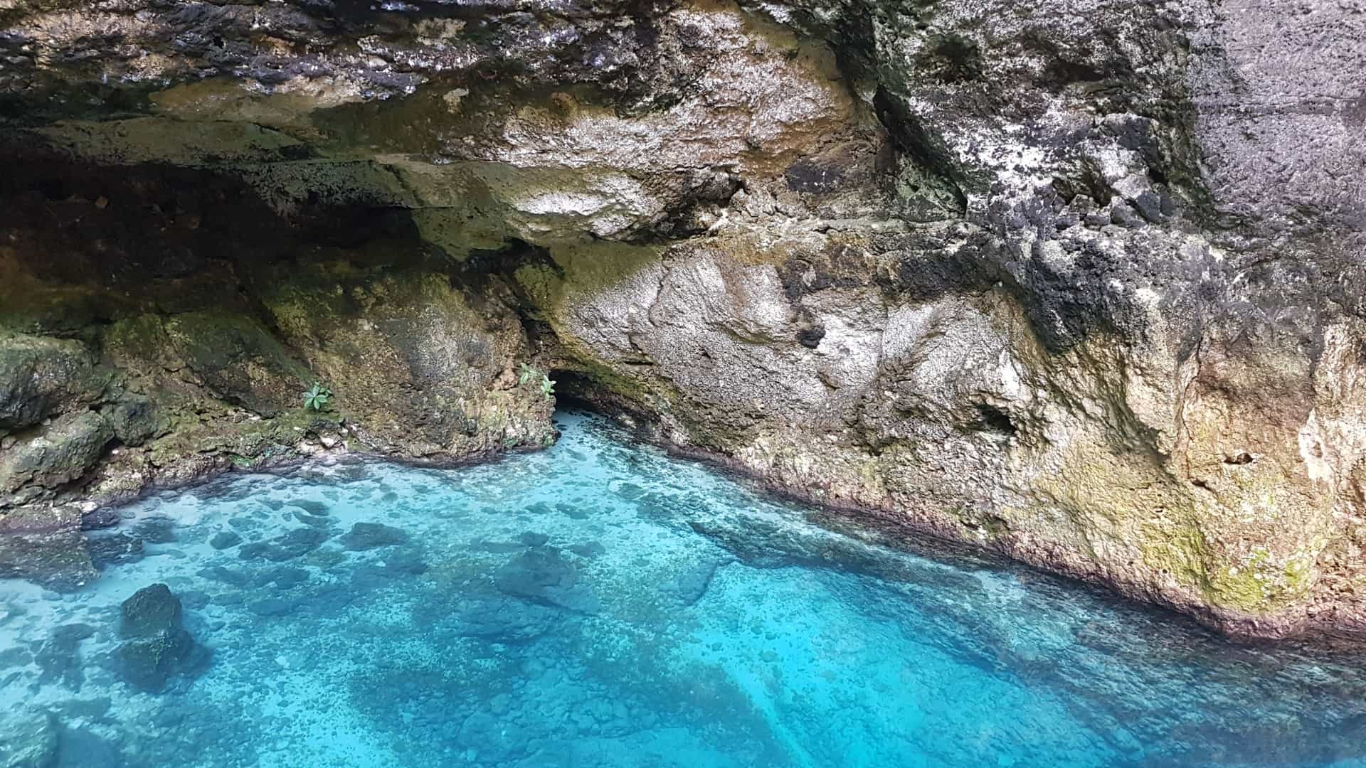 A stunning photograph of Cueva Hoyo Azul (Blue Hole Cave), a natural limestone sinkhole near Punta Cana, Dominican Republic. The image shows a brilliant, deep turquoise pool of water at the base of a cliff. A long, rustic wooden staircase descends into the shaded cave entrance, which is surrounded by lush green tropical foliage.