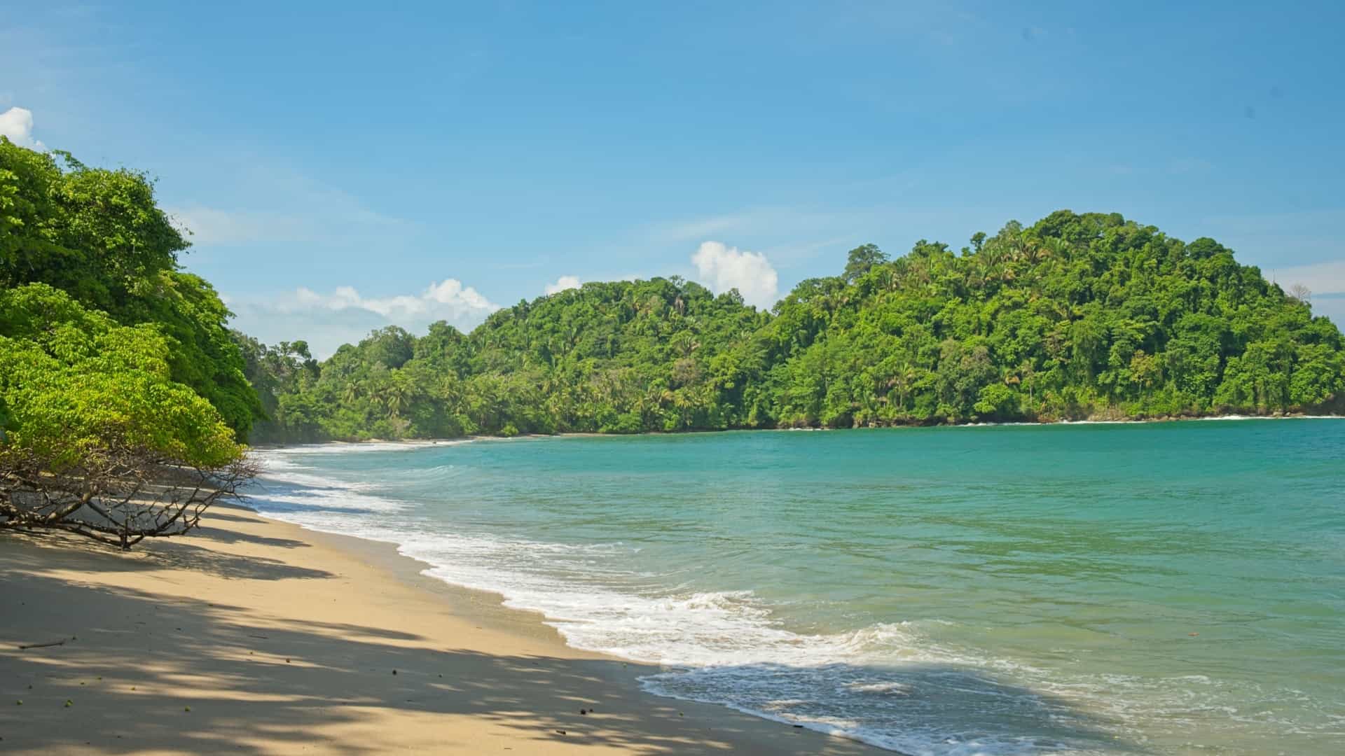 A beautiful wide shot of Playa Espadilla Sur beach inside Manuel Antonio National Park, Costa Rica. The scene features a long crescent of soft, light-colored sand bordered by the turquoise waters of the Pacific Ocean. The beach is backed by a dense, vibrant tropical rainforest that meets the sand, characterizing the protected, secluded environment of the national park.