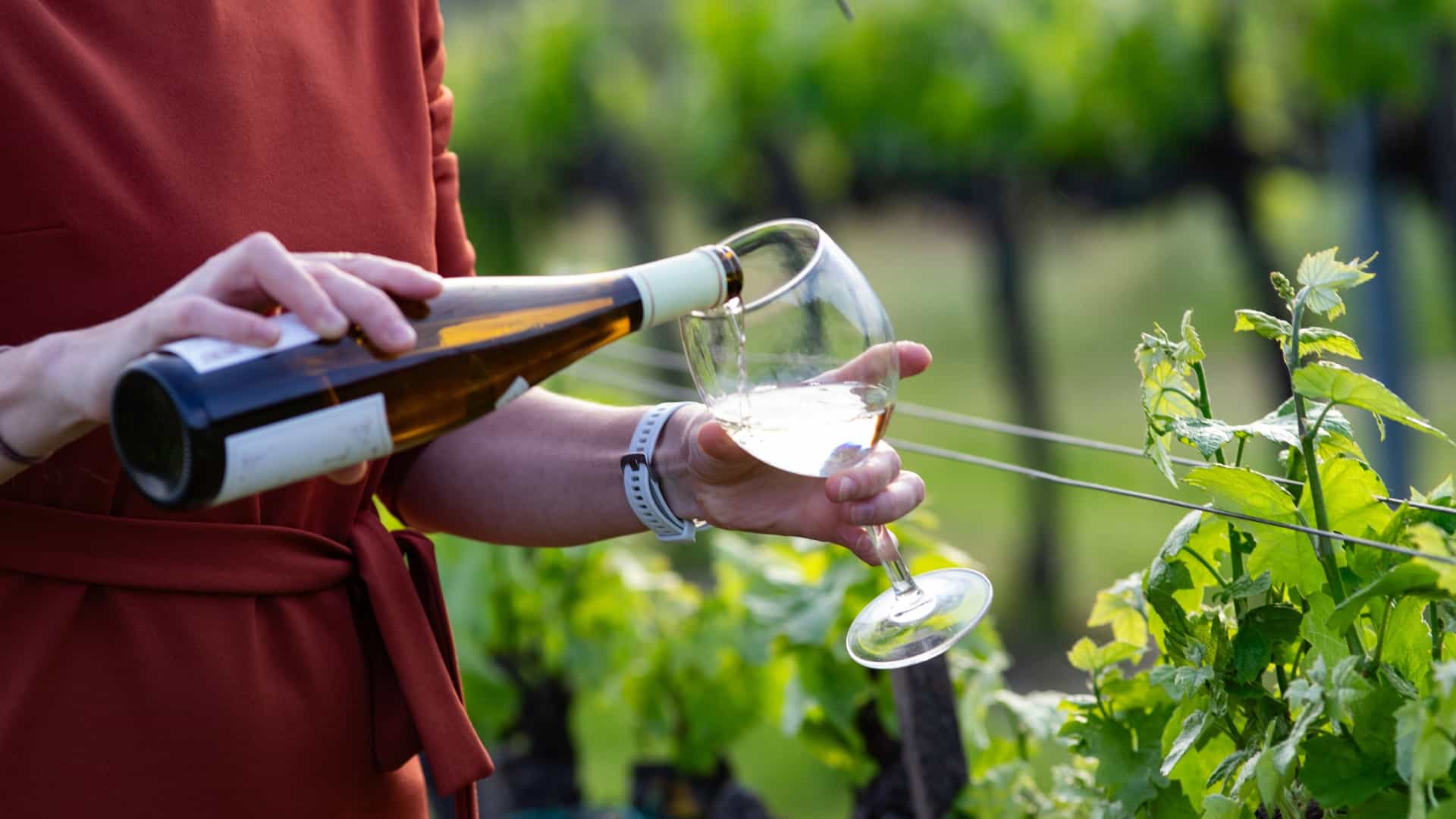  A happy woman with long brown hair, wearing a white top and a straw hat, stands in a sunlit vineyard. She is holding a wine glass and tasting or toasting with the wine, with rows of grapevines extending into the blurred background.