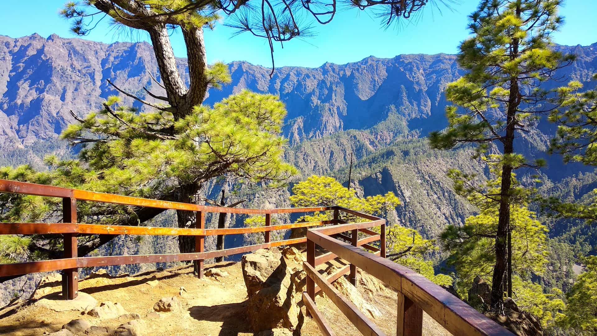  A dramatic vista from the Mirador de La Cumbrecita viewpoint in La Palma, overlooking the immense, pine covered gorge of the Caldera de Taburiente National Park. The foreground features steep, rocky slopes covered in Canary Island Pine trees leading down into the vast volcanic depression, with distant mountain peaks visible under a clear sky.