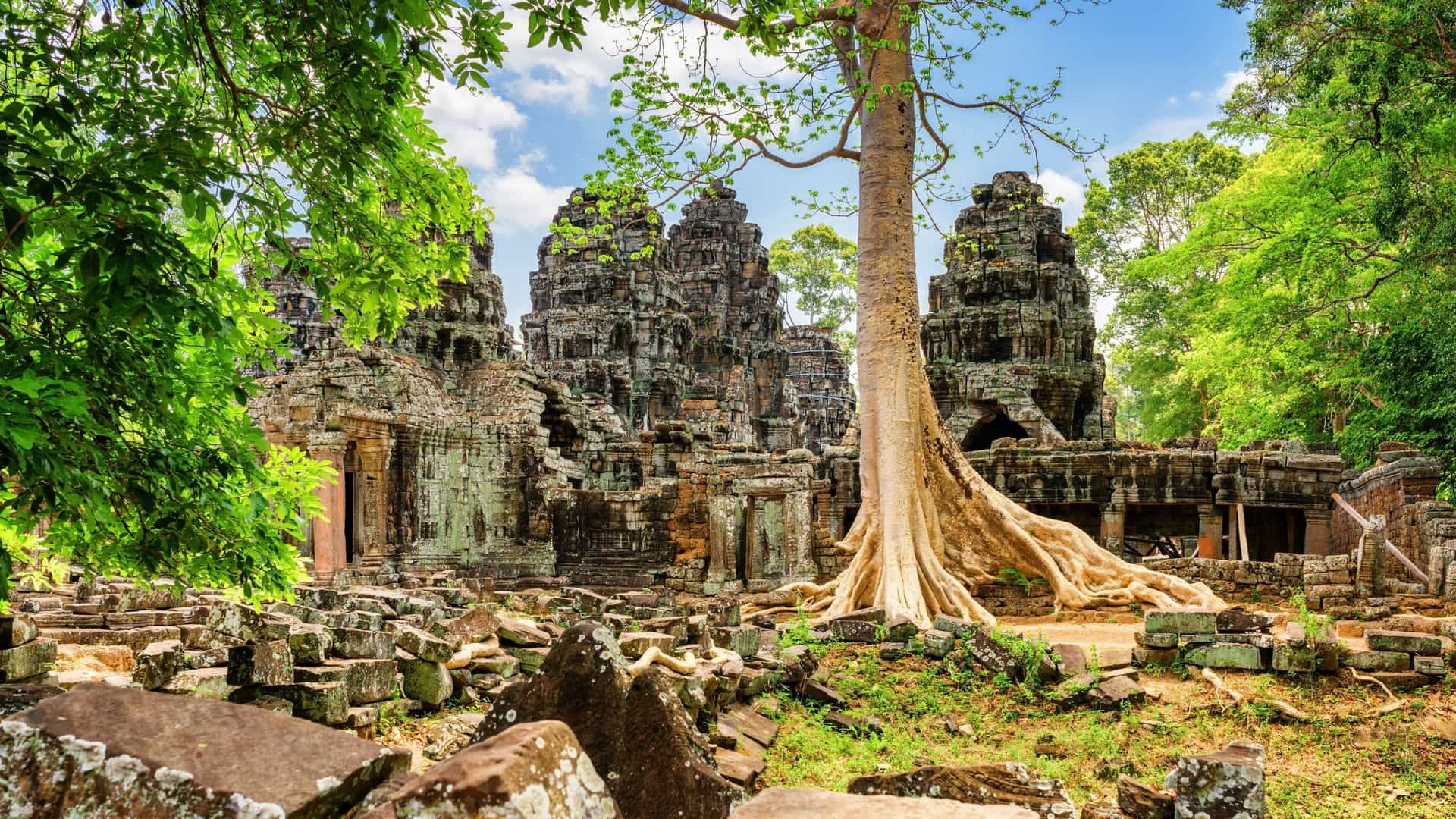  The mysterious ruins of the Ta Prohm temple in Siem Reap, Cambodia, are embraced by the jungle. Massive, serpentine roots of a giant strangler fig or silk cotton tree tightly grip and sprawl over the ancient, weathered sandstone walls and crumbling stone corridors of the temple. Sunlight filters through the dense tree canopy, creating a dramatic, overgrown atmosphere.