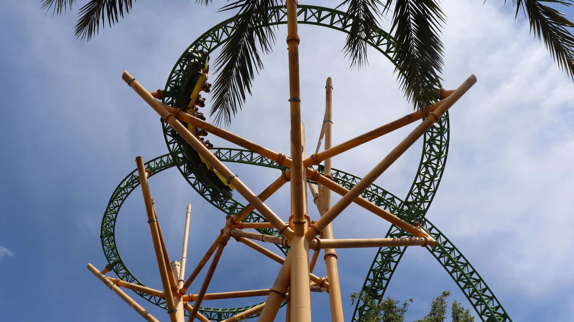 A bright, sunlit view of multiple steel roller coasters towering over the theme park landscape at Busch Gardens Tampa Bay in Florida, showcasing the intricate tracks and support structures of the park's thrilling rides.