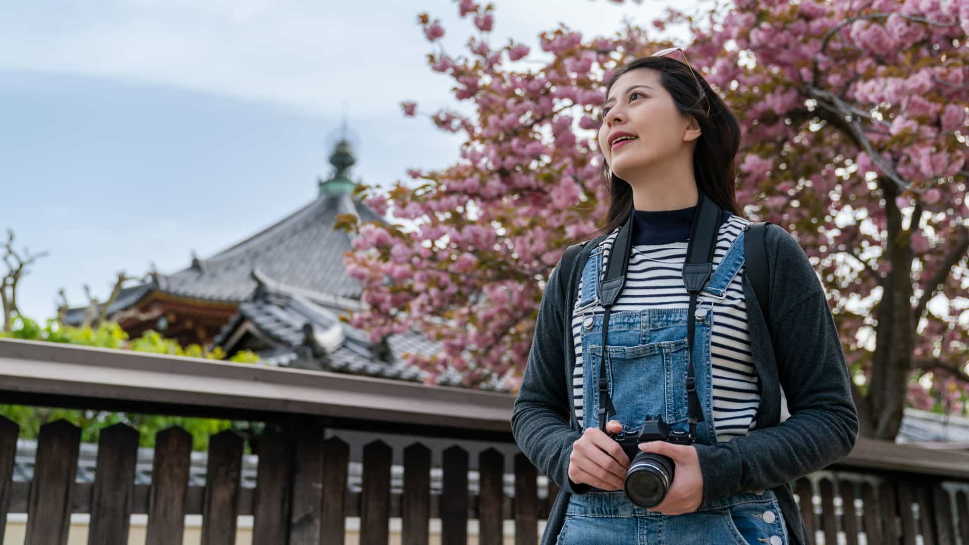 Woman in denim overalls and striped shirt holding a camera, standing beneath blooming pink cherry blossom trees with a traditional Japanese temple visible in the background.