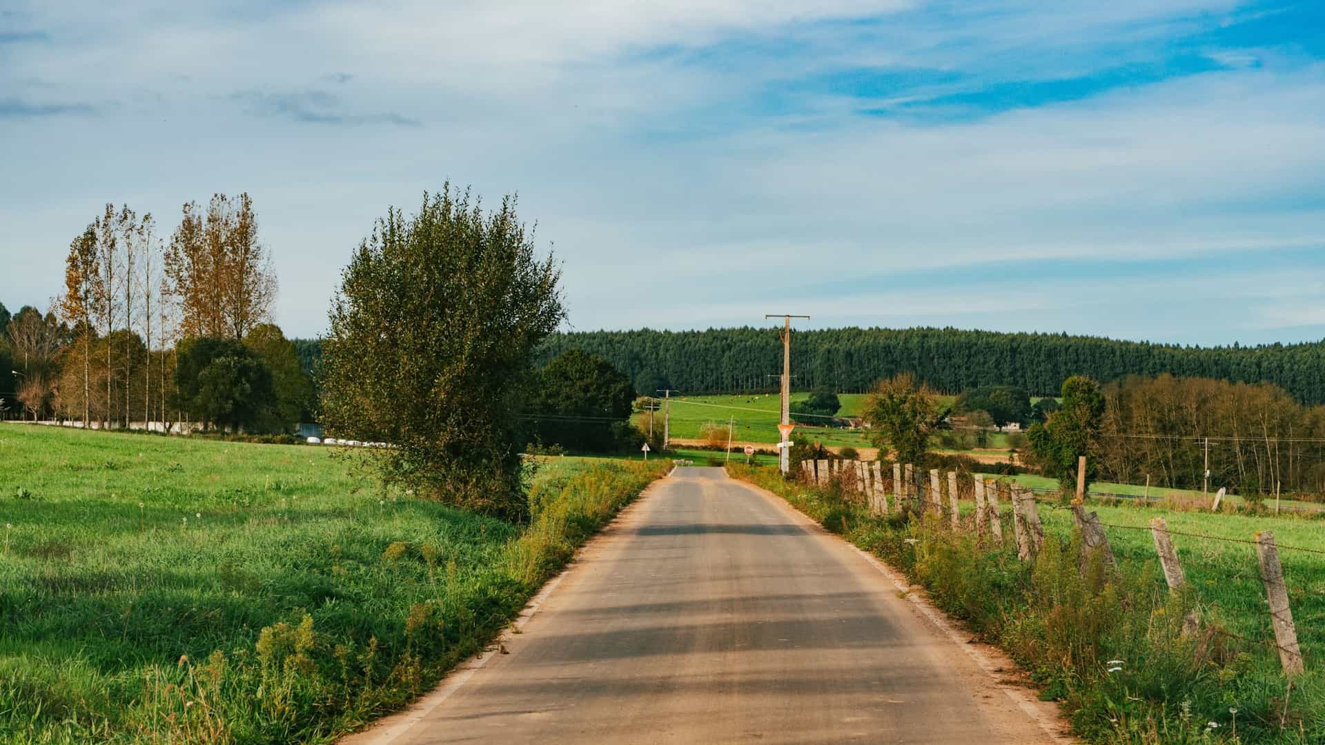 A tranquil, rural scene along the Camino Francés (French Way) pilgrimage route on the stage between Melide and Arzúa in Galicia, Spain. The narrow, winding dirt path, characteristic of a corredoira, is lined with dense green foliage and trees, capturing the natural beauty of the Galician countryside.