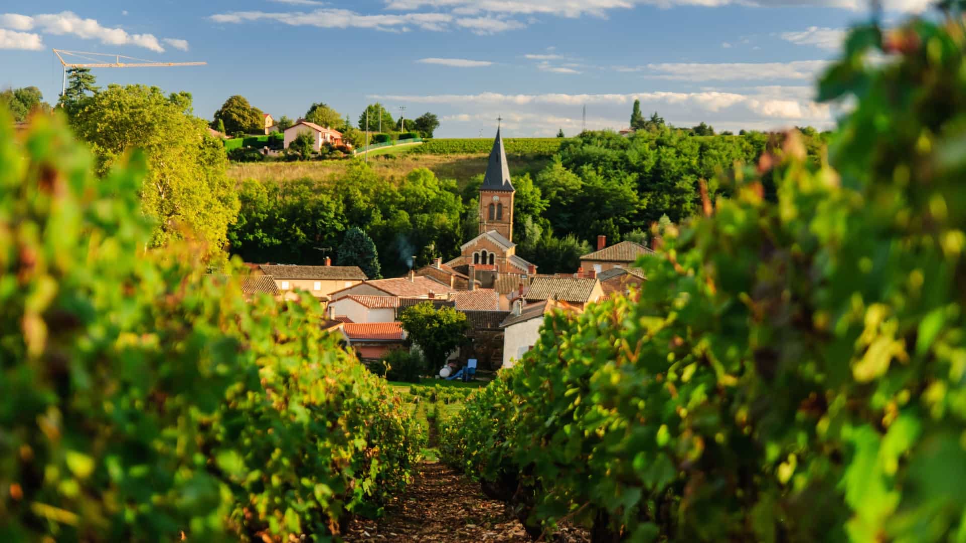 A view of the picturesque Beaujolais wine region, with lush vineyards framing a traditional French village and its historic church steeple under a blue sky.