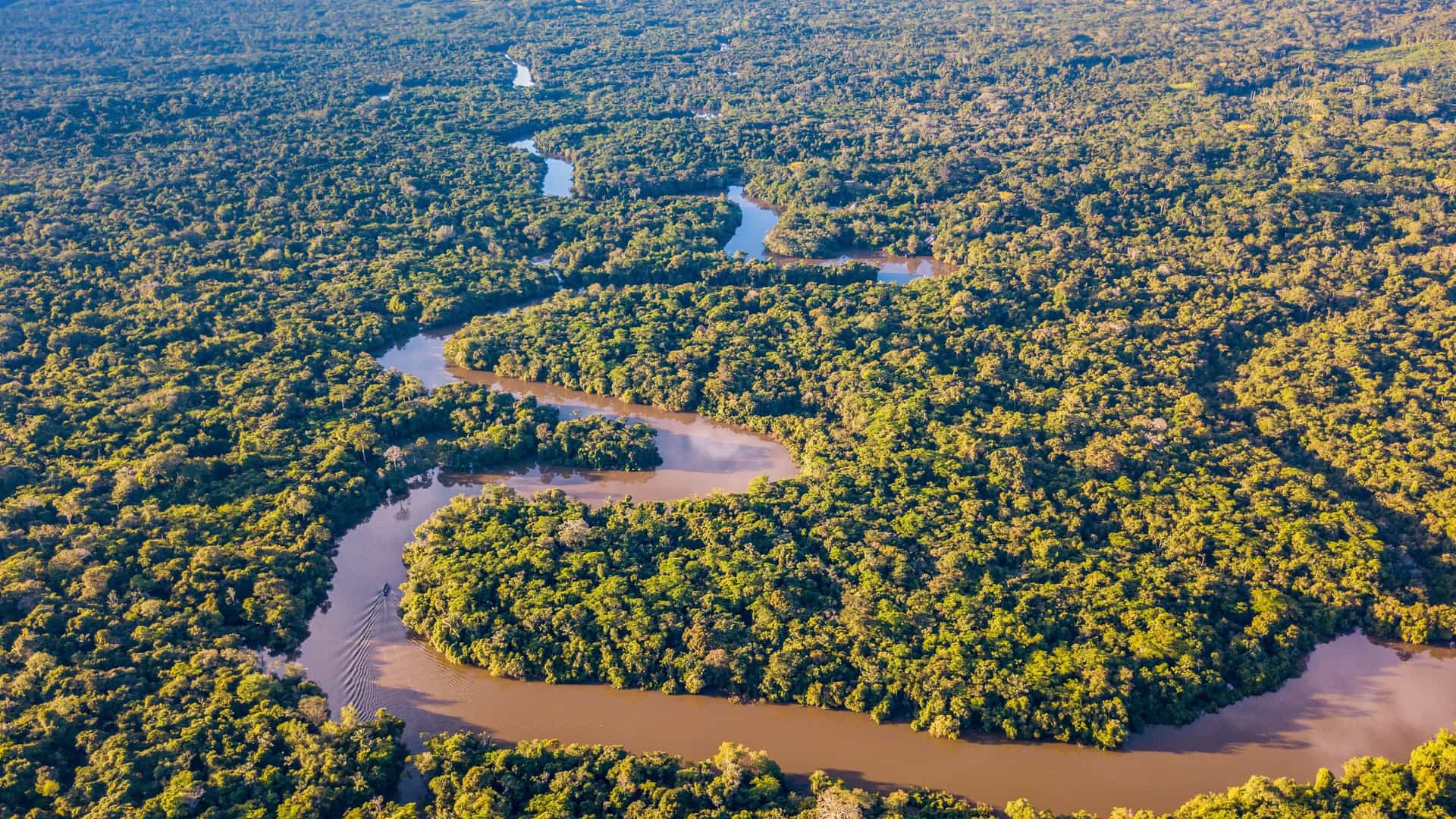 An aerial view of the Clavero River, a winding, brown river surrounded by a vast and dense green rainforest in Peru.