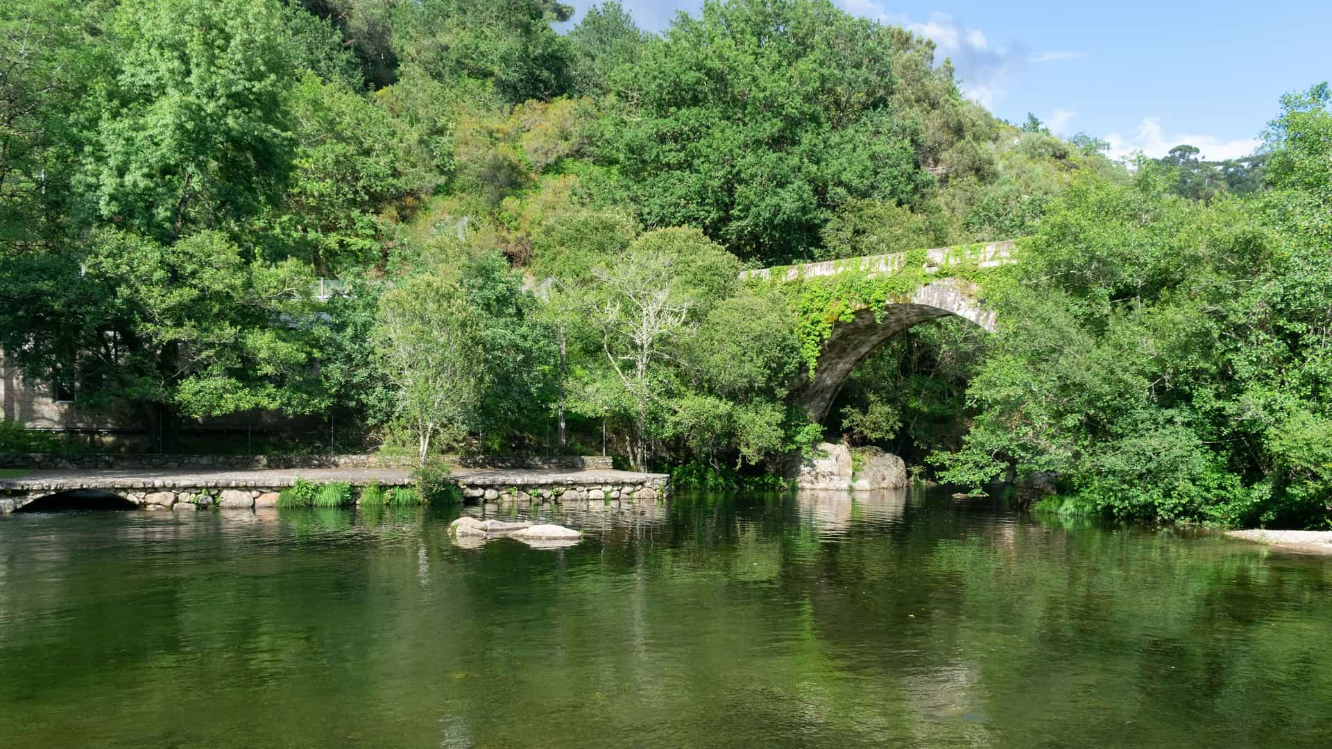 "A serene rural landscape with a historic stone arch bridge covered in ivy and green foliage, spanning a calm river in the lush forested countryside near Covelo, Spain.  "