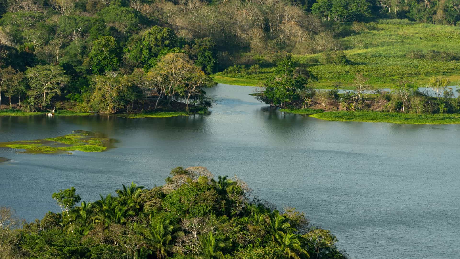 Aerial view of a wide, calm body of water—possibly a section of the Gatun Lake or Chagres River—surrounded by dense, green rainforest vegetation near Gamboa, Panama.
