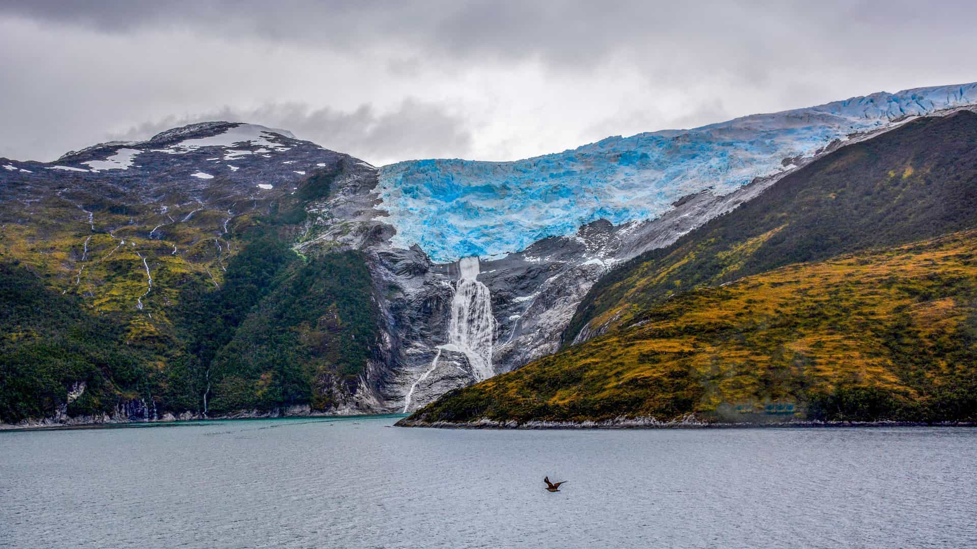 A breathtaking view of a massive blue glacier flowing down a mountainside into a body of water in Glacier Alley, Chile, with lush green and brown hillsides surrounding it.