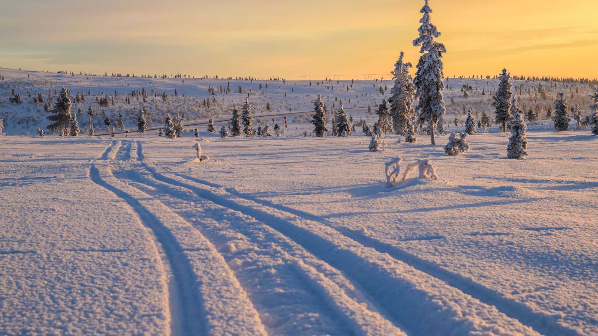 "A stunning winter landscape shot in Ivalo, Finland, with a road and tracks in the deep snow leading towards a line of snow-covered trees and a golden sunrise in the distance.  "