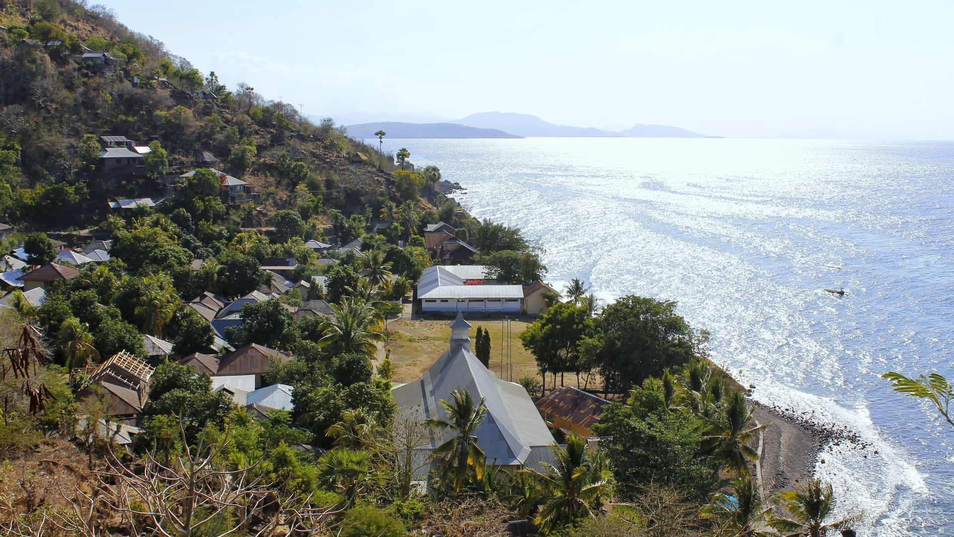 A peaceful coastal view in Lamelera Village with hillside homes surrounded by lush greenery, a few larger buildings near the shoreline, calm blue water reflecting sunlight, and a small boat moving close to the coast.