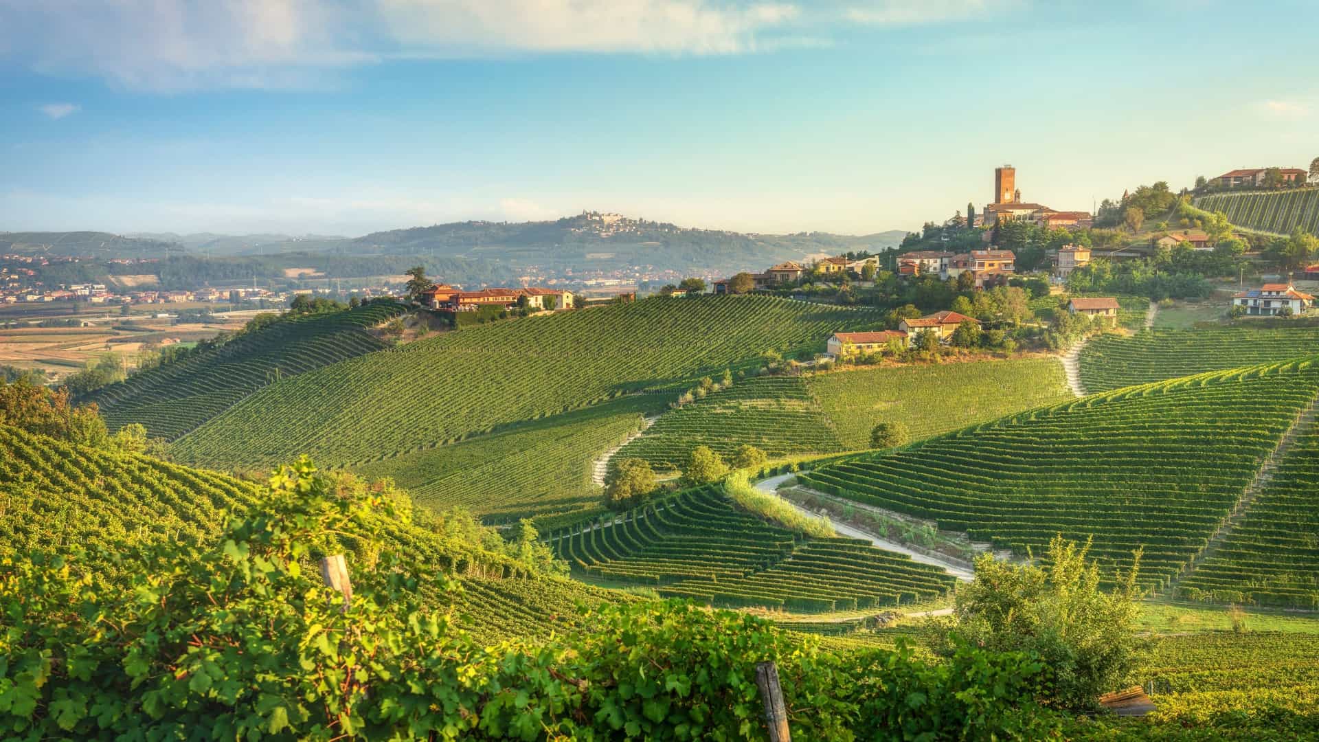 A panoramic view of the Langhe region, Piedmont, Italy, featuring steeply sloping hills covered in terraced vineyards that curve and roll. A small village with traditional red-roofed buildings and a prominent bell tower sits atop one of the hills under a bright, late-afternoon sky.