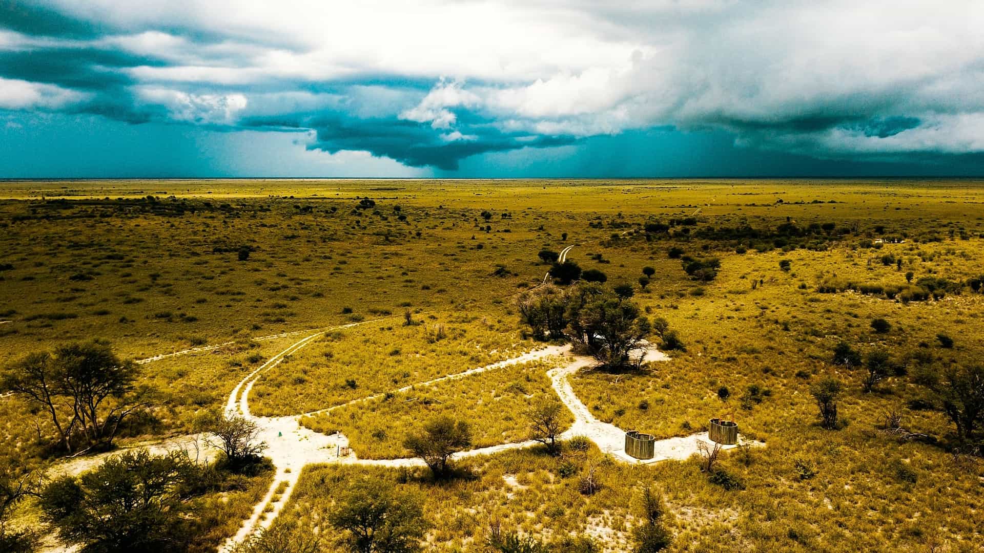 A vast, flat, golden-yellow savanna landscape in the Makgadikgadi Pans, Botswana, is overlooked by a dark, dramatic storm cloud formation.