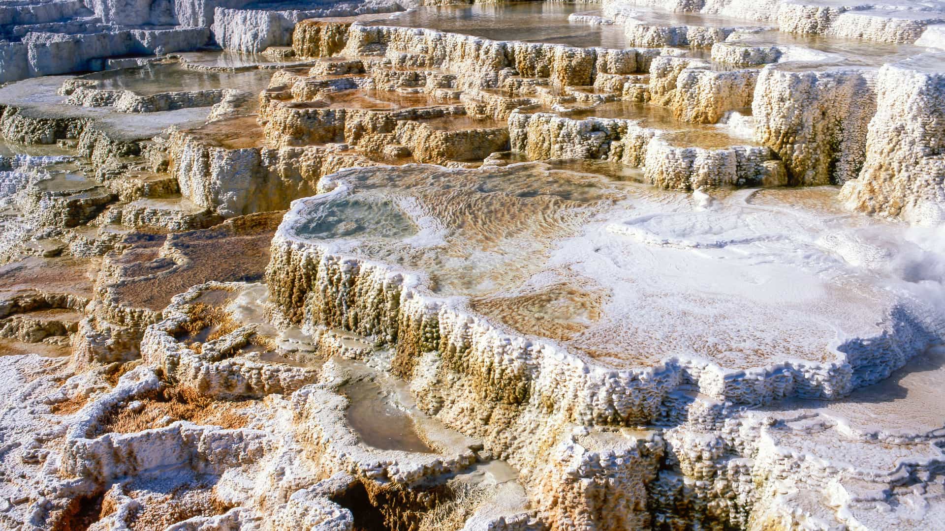 "A close-up view of the multi-level travertine terraces and hot springs at Mammoth Hot Springs in Yellowstone National Park, Wyoming.  "