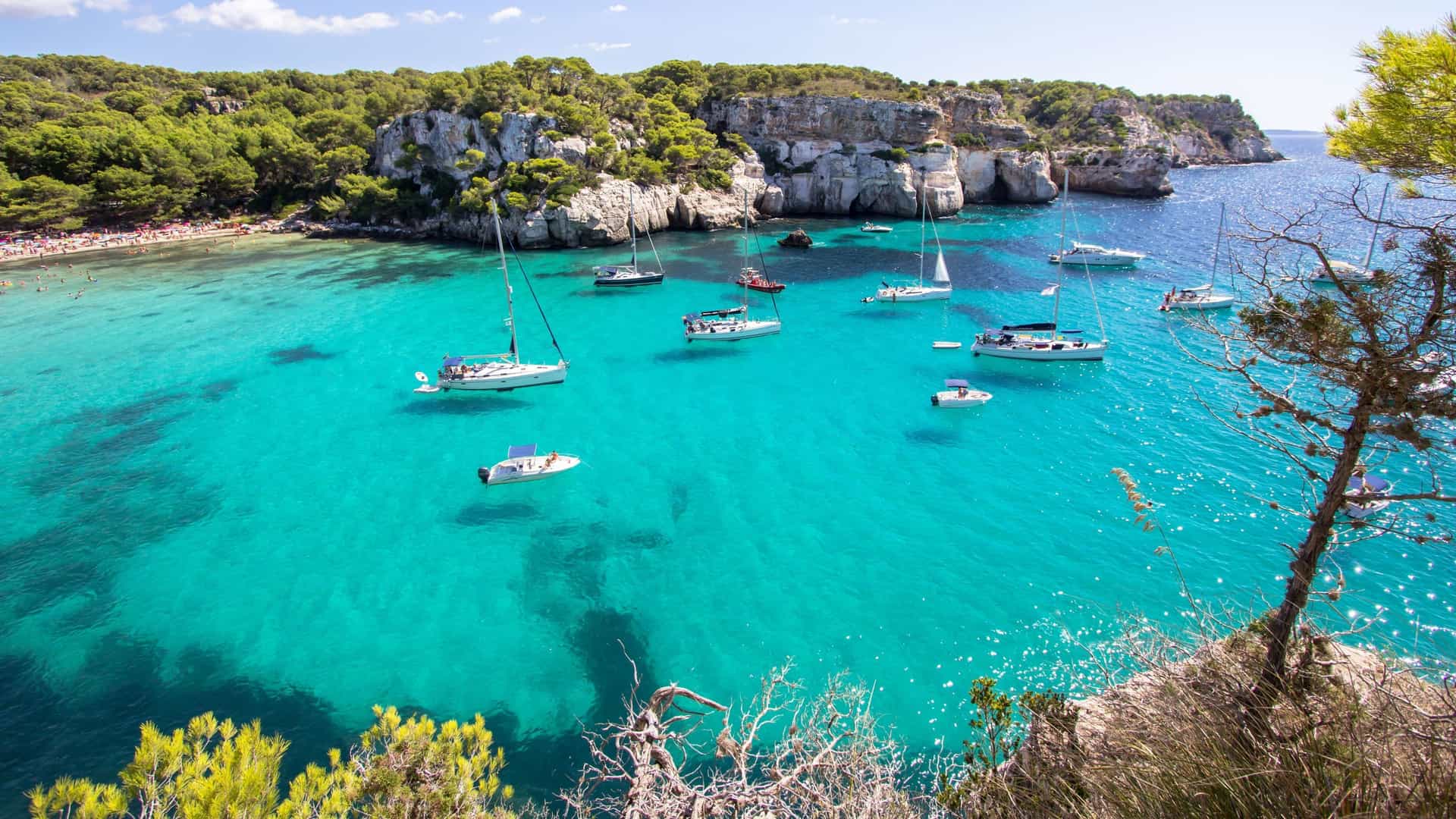 A breathtaking aerial view of a secluded cove in Menorca, Balearic Islands, with numerous yachts anchored in the crystal-clear turquoise waters and a small beach surrounded by rocky cliffs and pine forests.