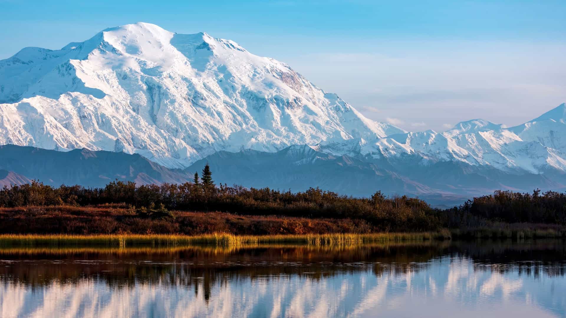 A breathtaking view of the snow-capped Mount McKinley, also known as Denali, reflecting in a serene lake with a golden autumn foreground of bushes and trees.