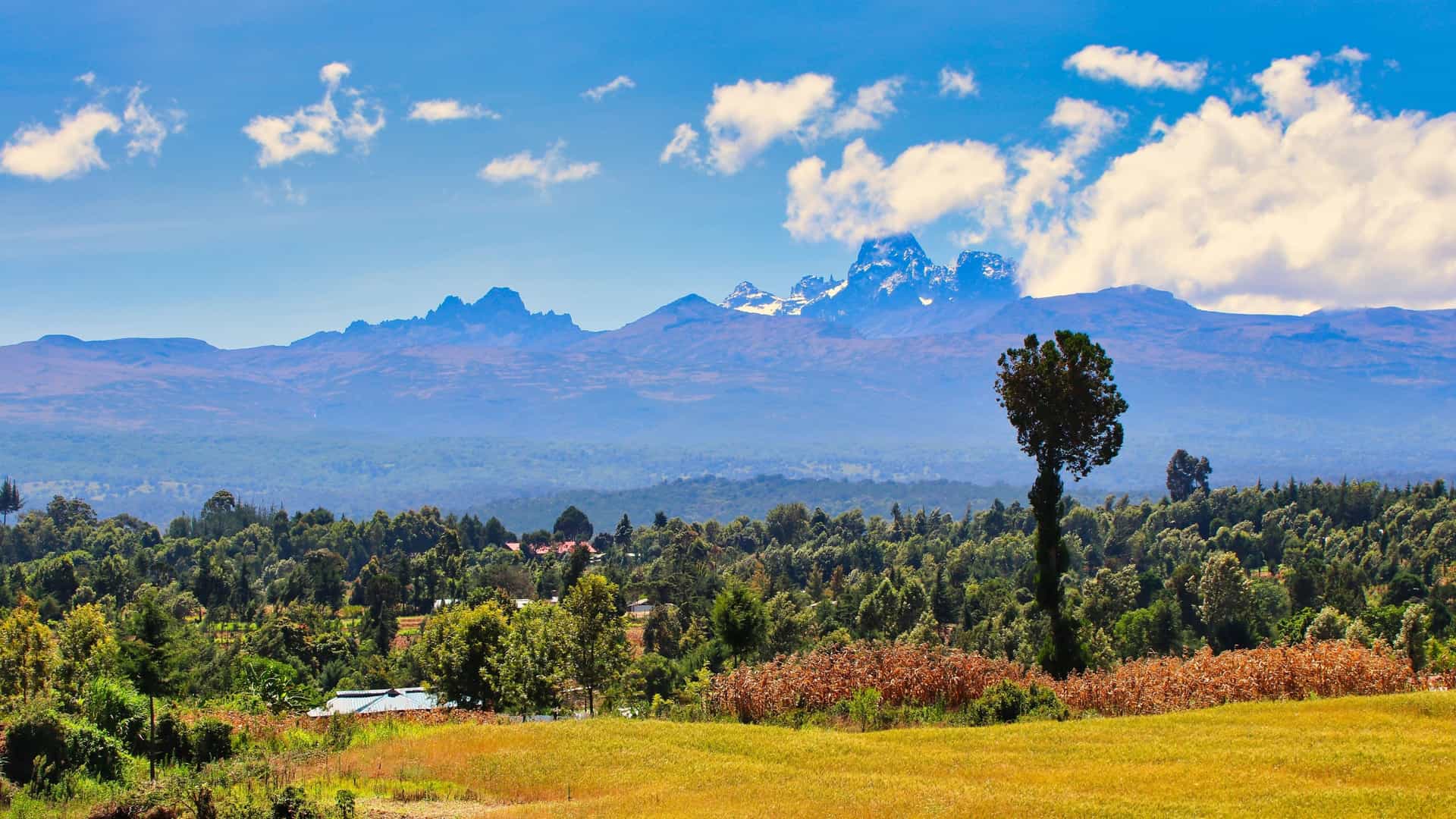 A vast, sunny savanna and forest lead toward the rugged, snow-capped Mount Kenya range under a bright blue sky.