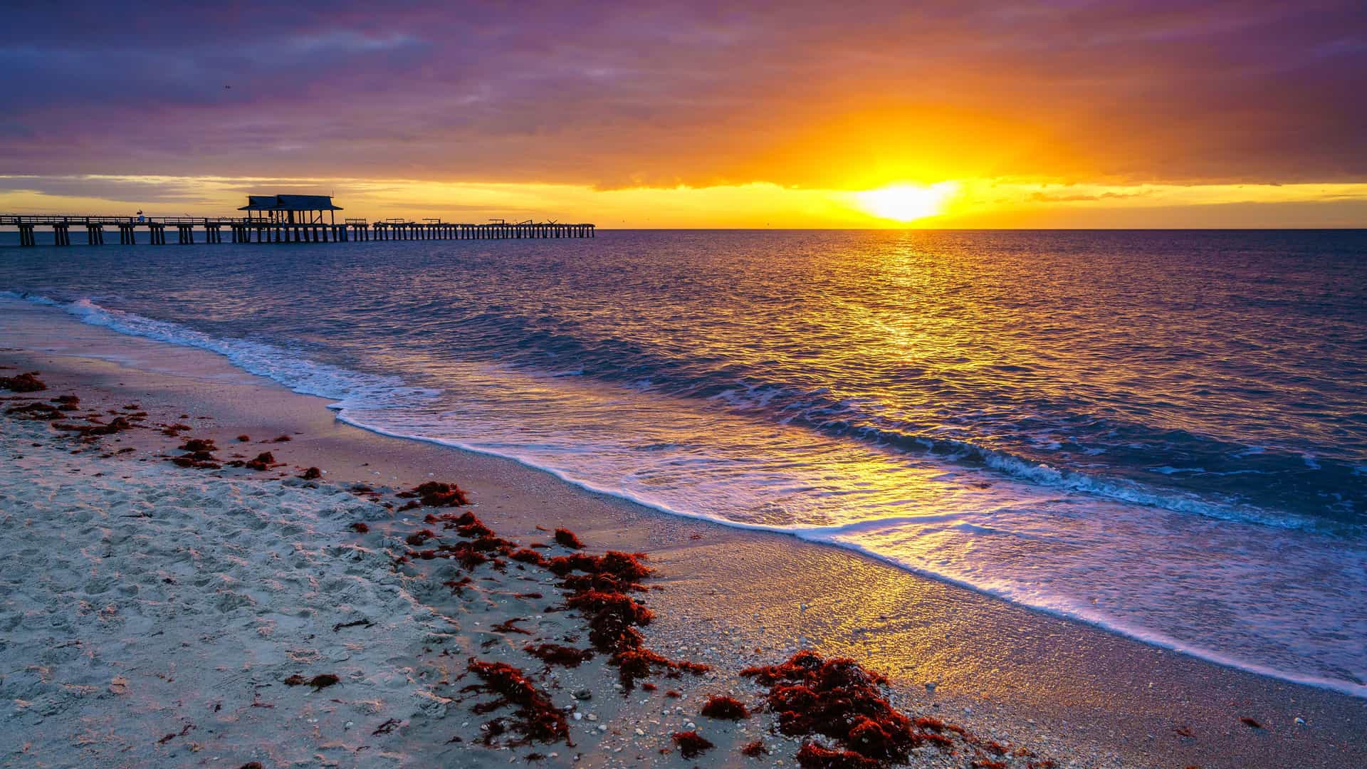"A breathtaking sunset over the Gulf of Mexico in Naples, Florida, with the Naples Pier silhouetted against a golden and purple sky and waves crashing on the sandy beach.  "