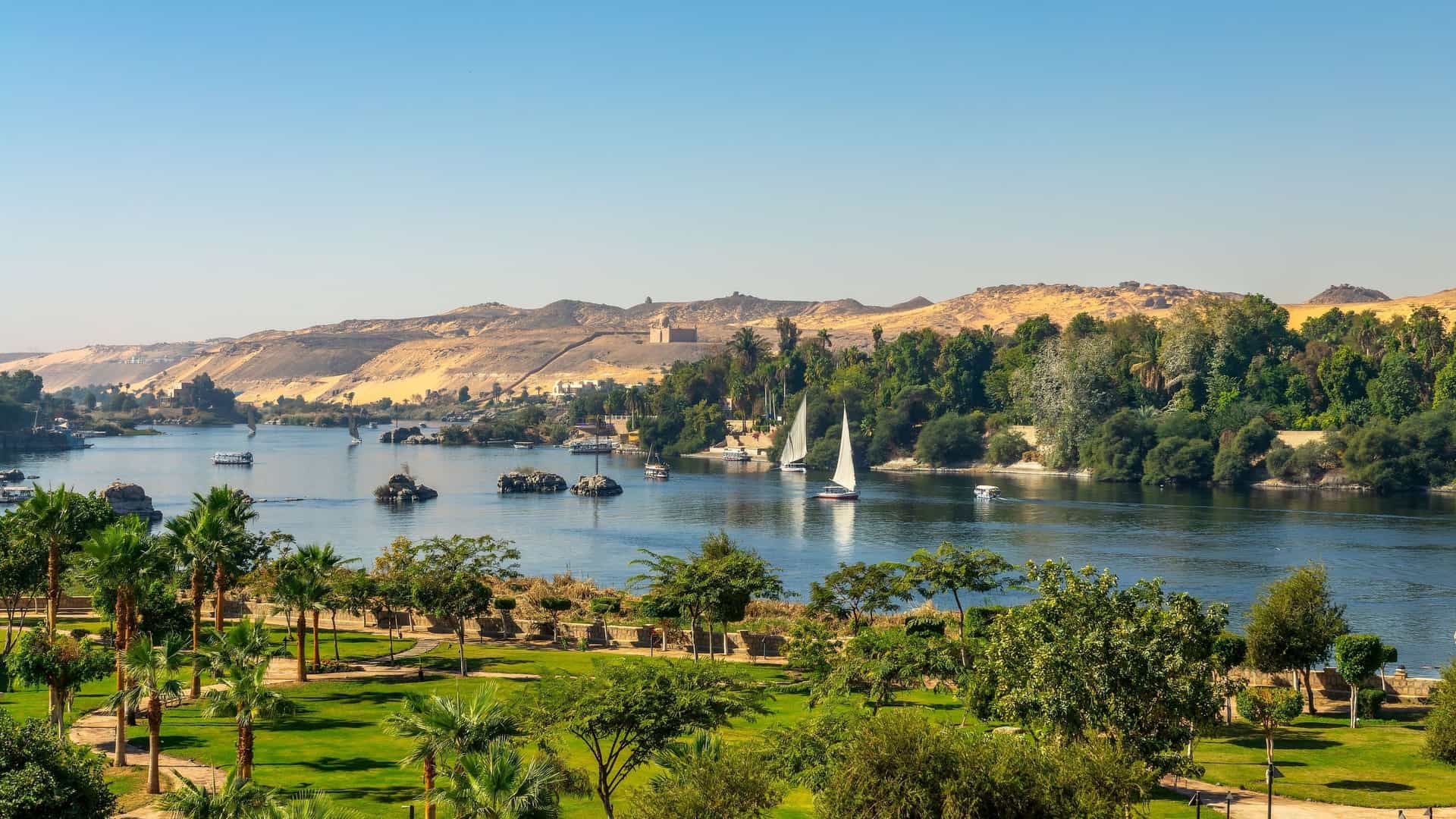 A beautiful view of sailboats and feluccas cruising on the Nile River, with lush green banks, palm trees, and the arid desert landscape and sand dunes in the background.